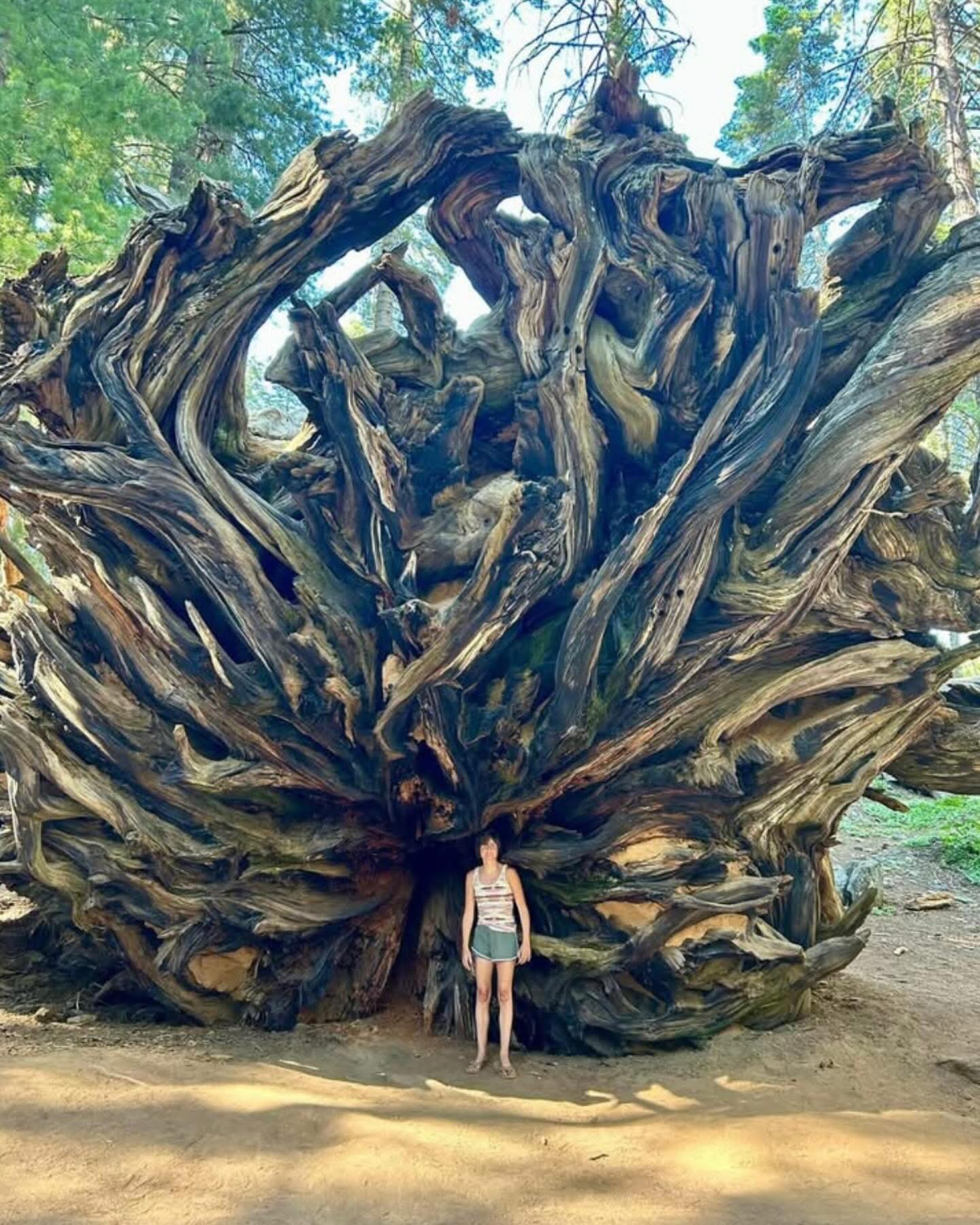 Ancient - Just as impressive underground as above ground. Despite their ...