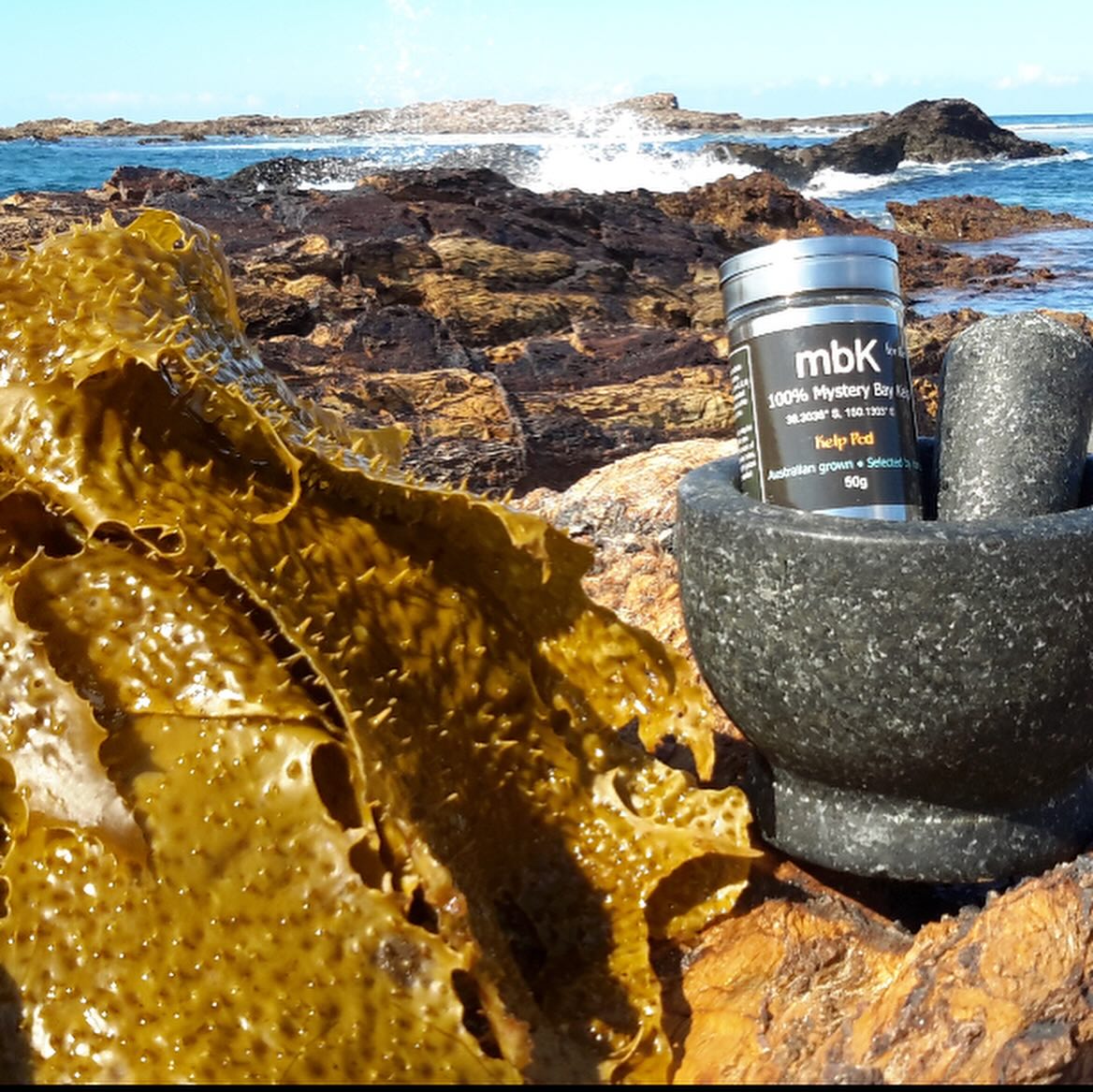 MbK For Life - Mystery Bay Kelp. Australian Seaweed