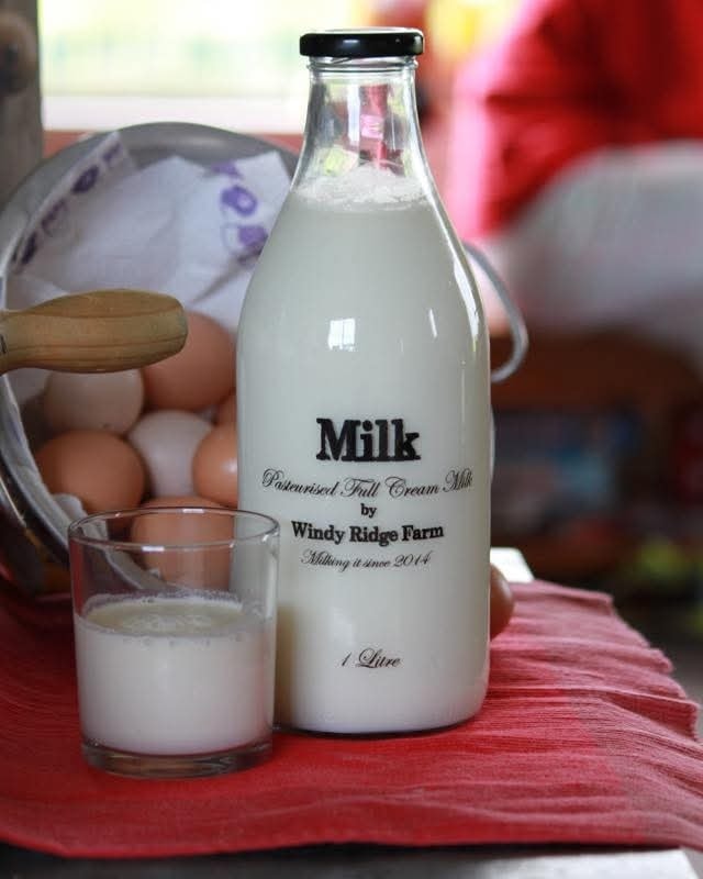 Windy Ridge Milk | Dunedin