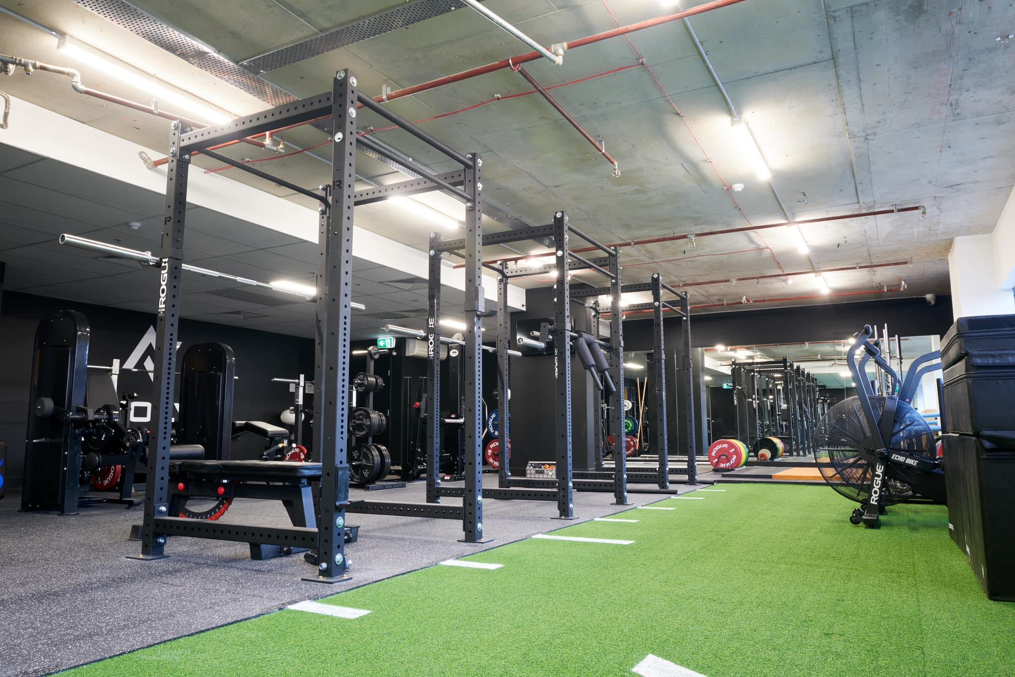 Avolve Performance | Sydney NSW