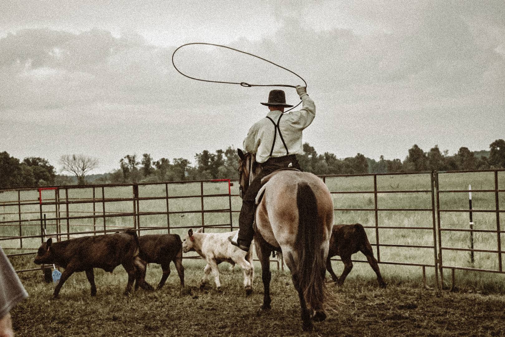 WT RANCH - WT RANCH added a new photo.