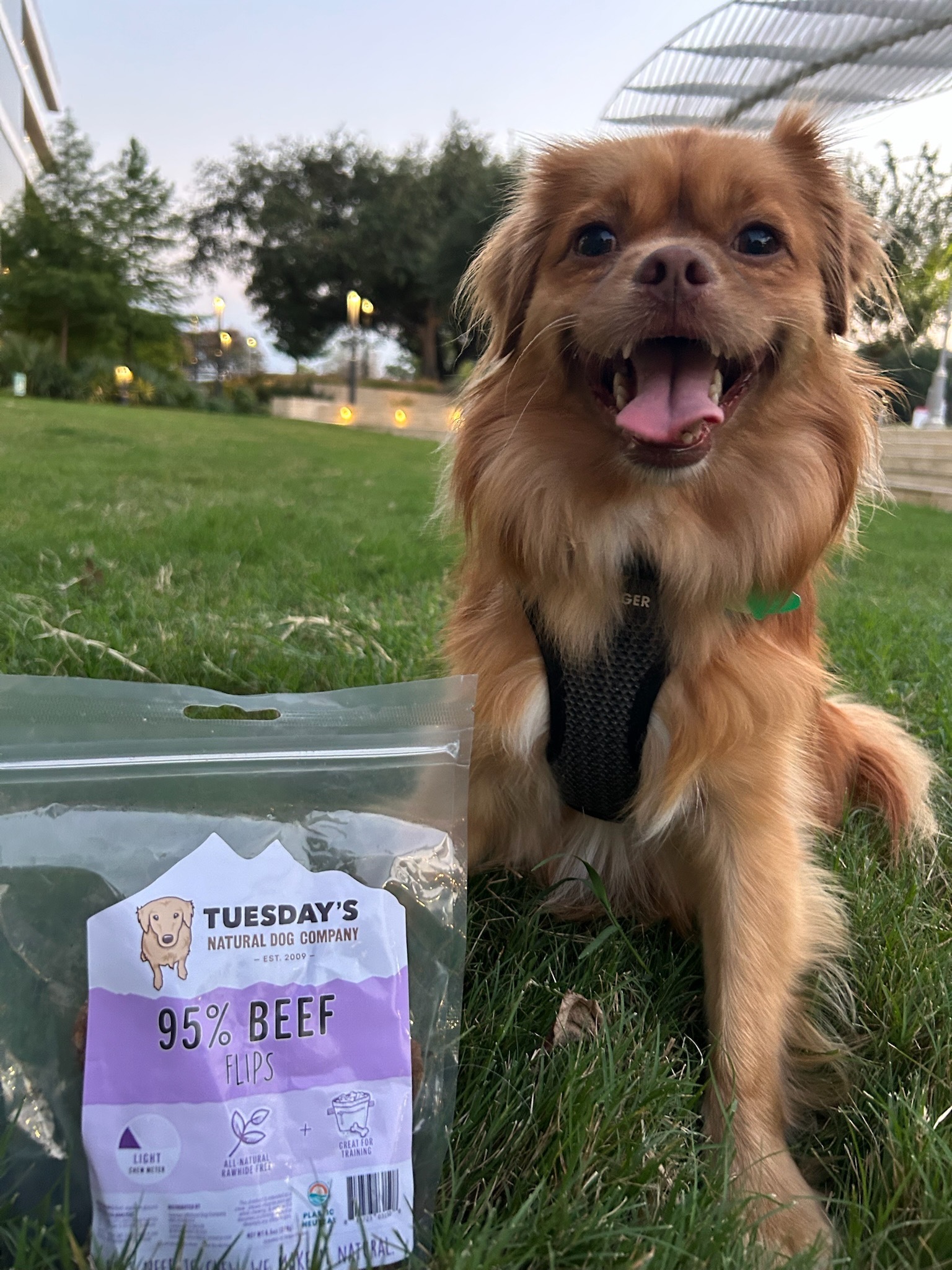 Tuesday's Natural Dog Company | Loveland CO