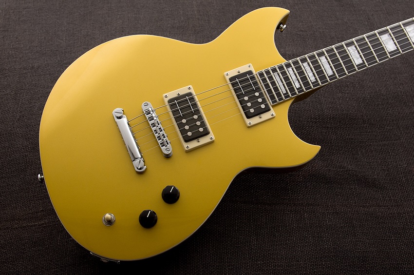 Robin Finck wanted his Signature model in Venetian Gold for the