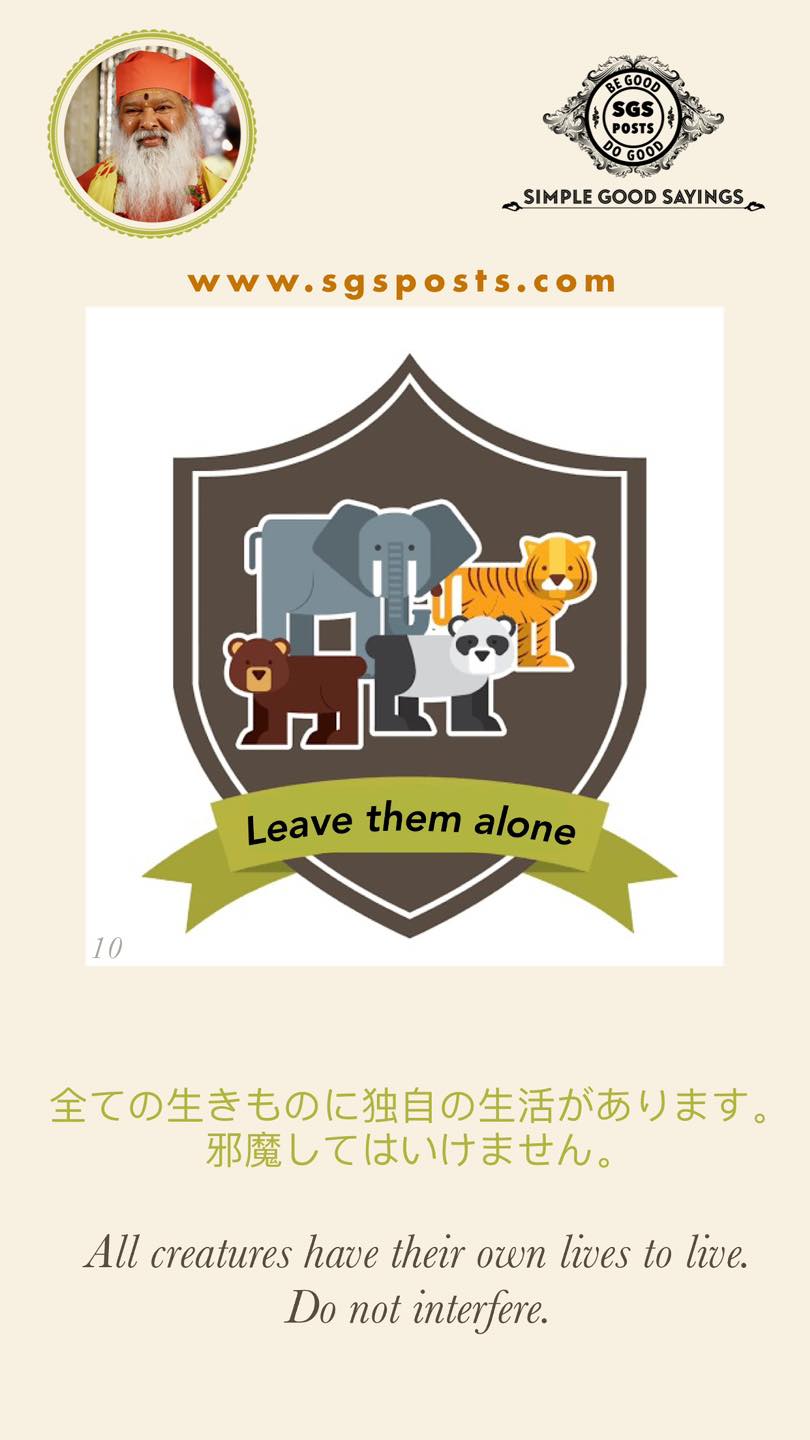 SGS Posts - Be Good Do Good... - SGS Posts - Be Good Do Good