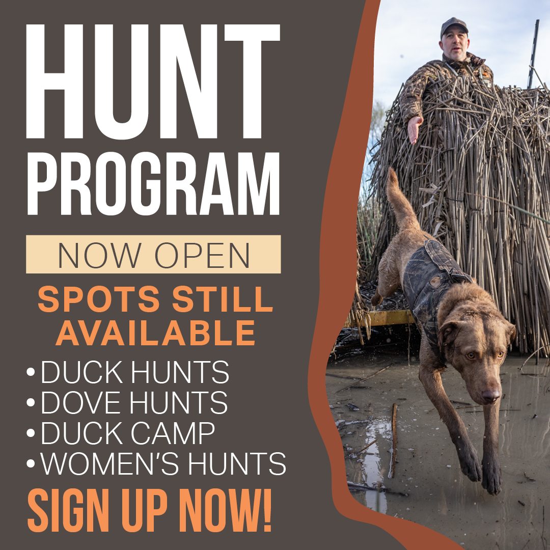 🚨 Hunt Programs Now Open! 🦆🕊️ We... - California Waterfowl | Facebook