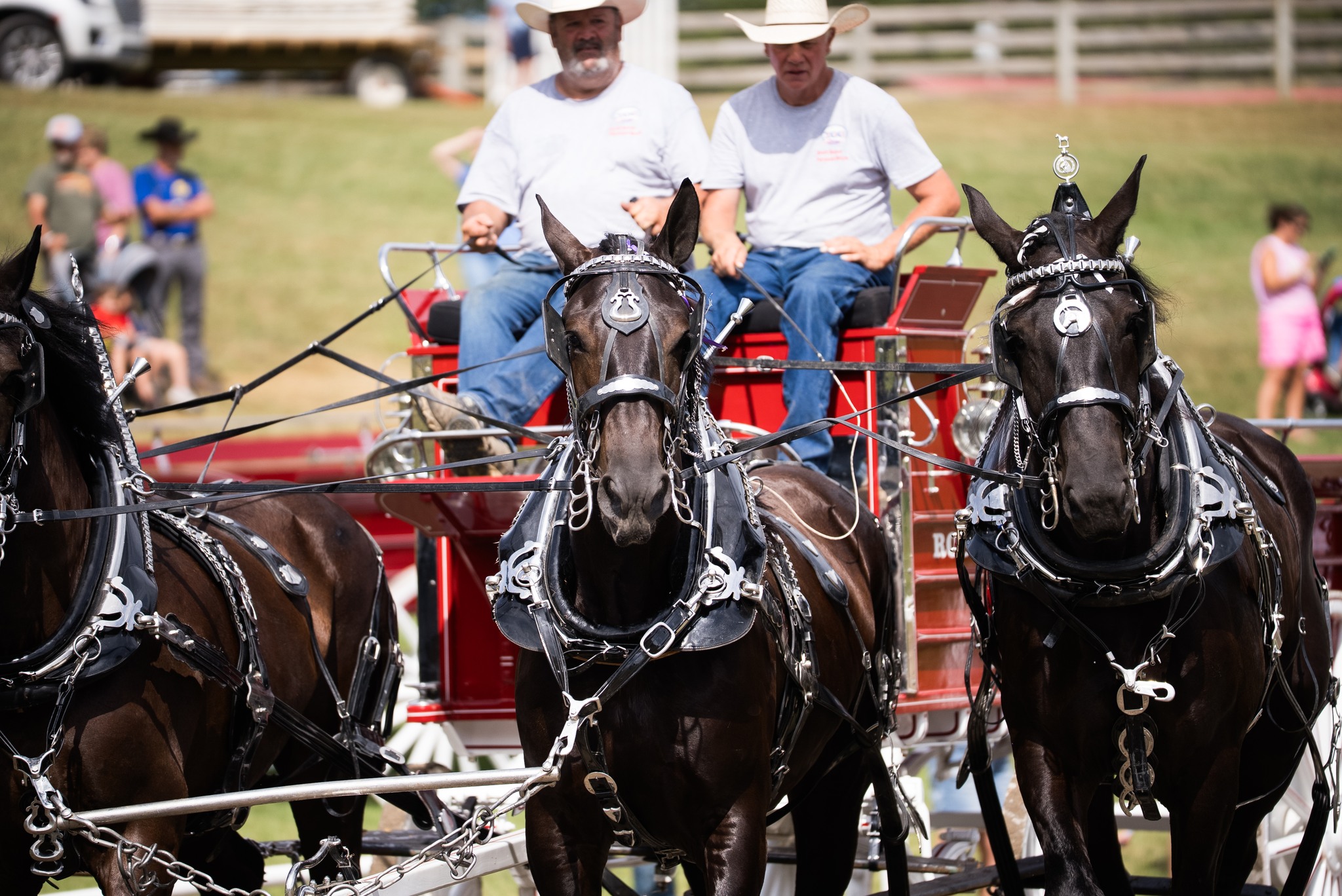 State Fair of West Virginia... - State Fair of West Virginia