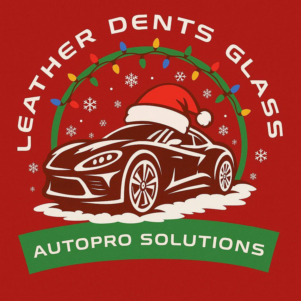 Auto Pro Solutions PDR