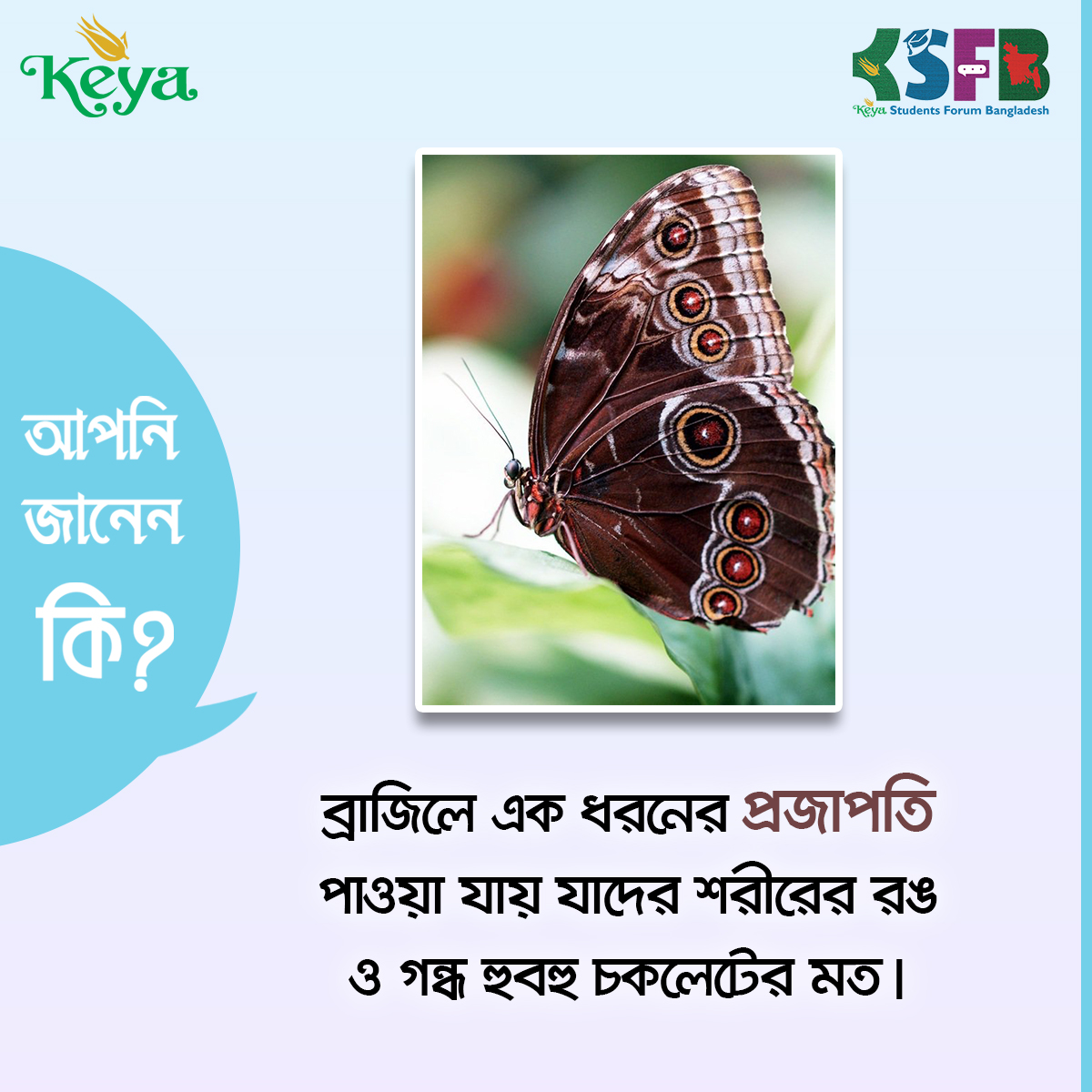 Keya Students Forum Bangladesh | Gazipur