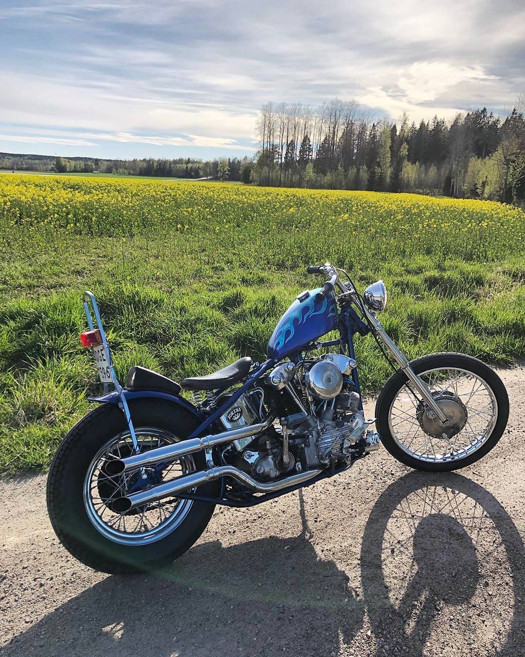 Daily Rider