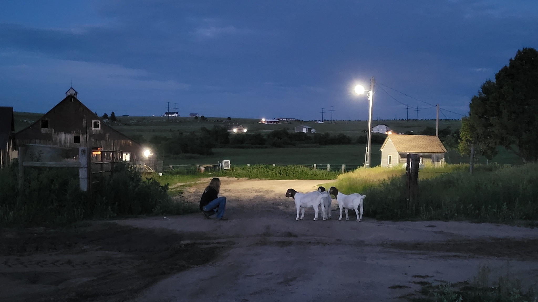 Mead Cattle Ranch | Elbert CO
