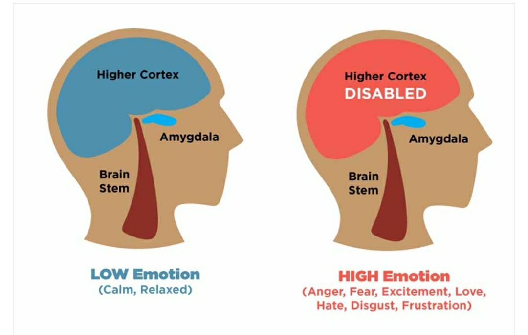 HUMAN PSYCHOLOGY | The amygdala hijack is a phenomenon where the ...