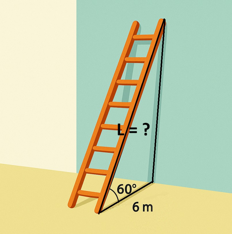 Math and Science | A ladder makes an angle of 60° with the ground ...