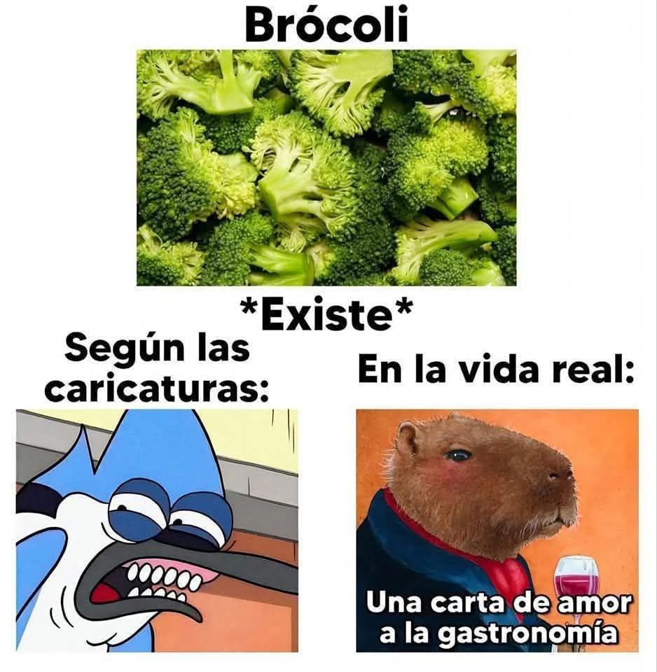 Memes De Ciencias Sociales . - Caricaturas | Facebook