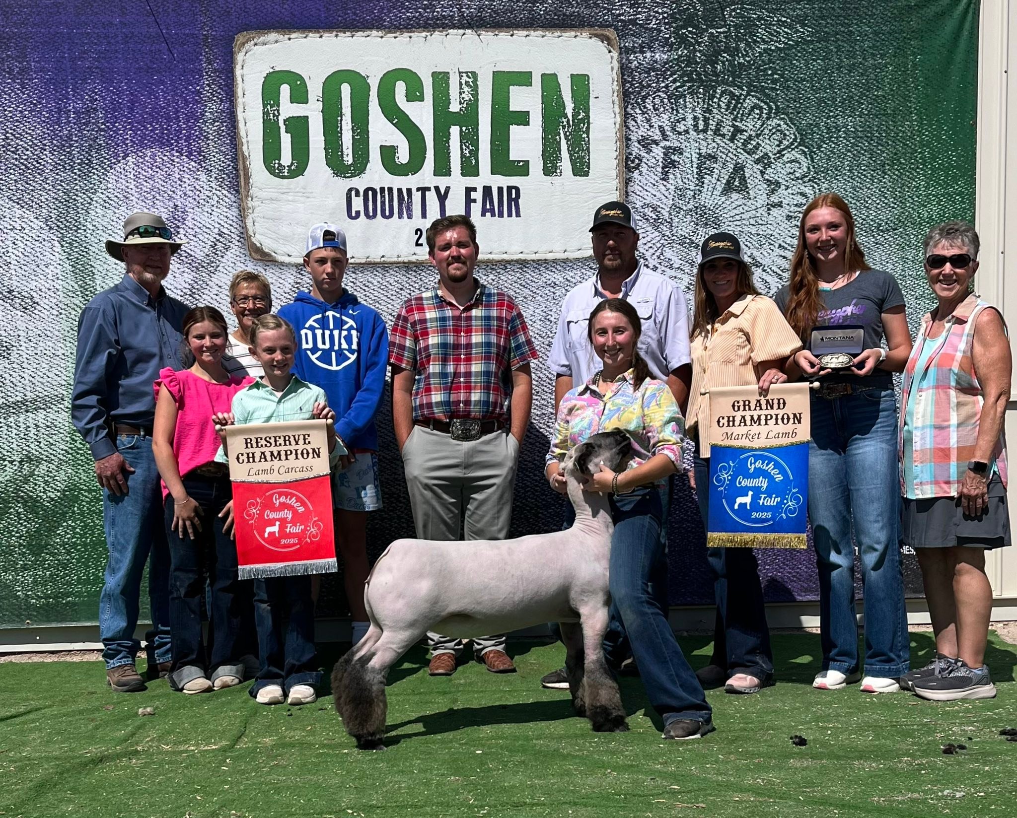 Stonecypher - Grand Champion Market Lamb Champion Division 2 Market ...