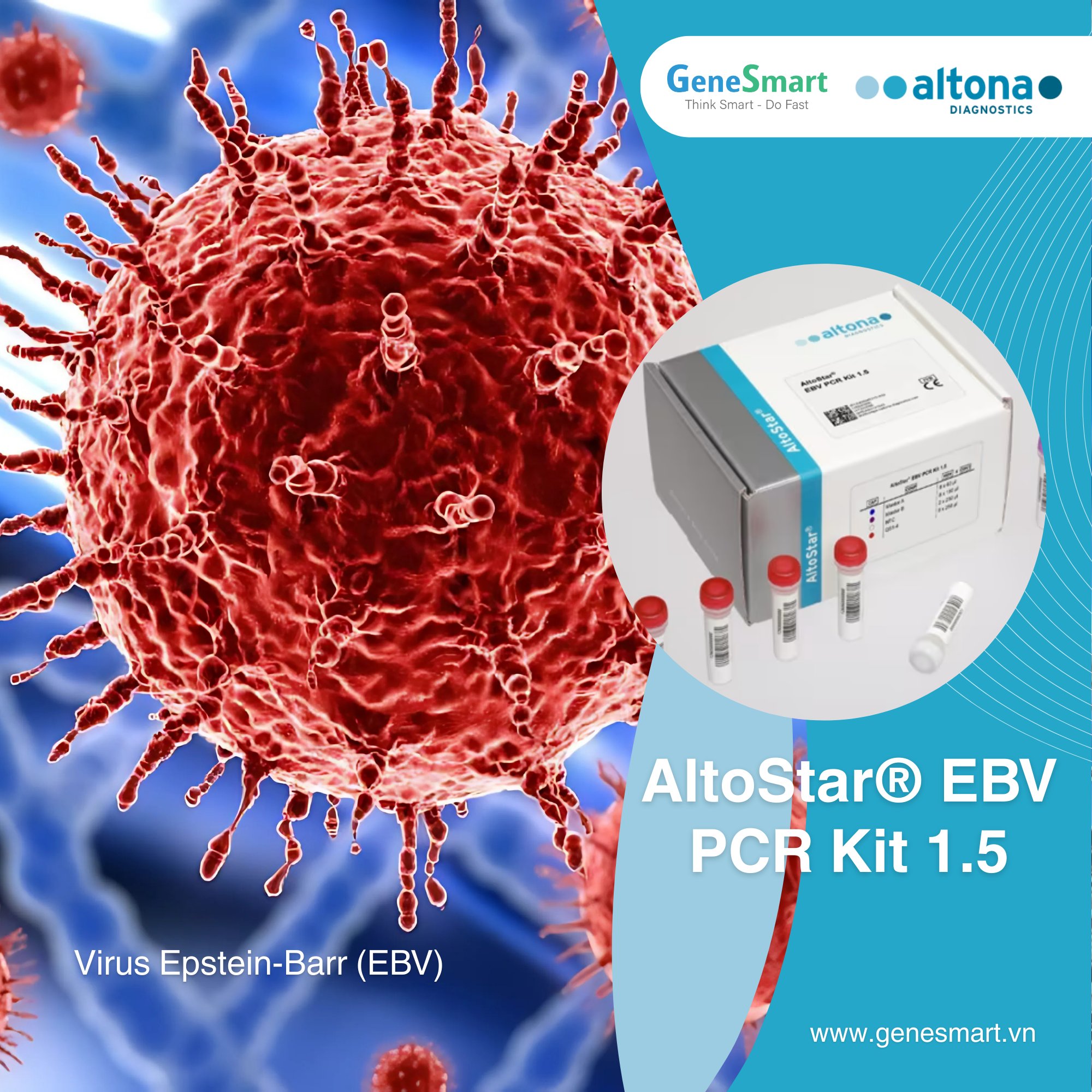 GeneSmart - #Altona Tối ưu hóa quy trình xét nghiệm PCR EBV với bộ kit ...