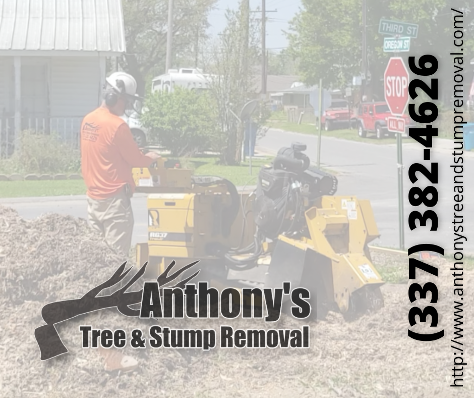 Anthony's Tree and Stump Removal Services LLC | Saint Martinville LA