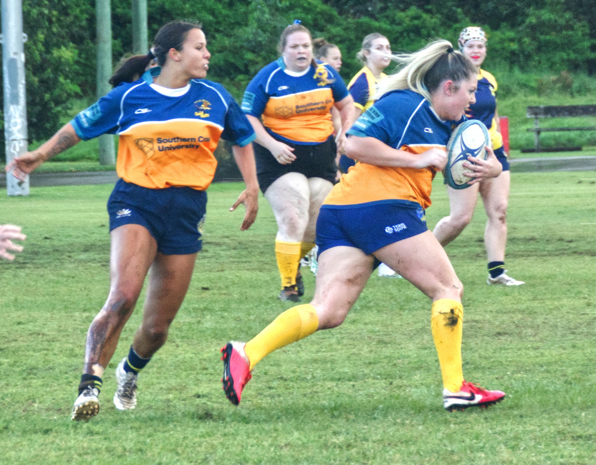 Southern Cross University Gold Rats