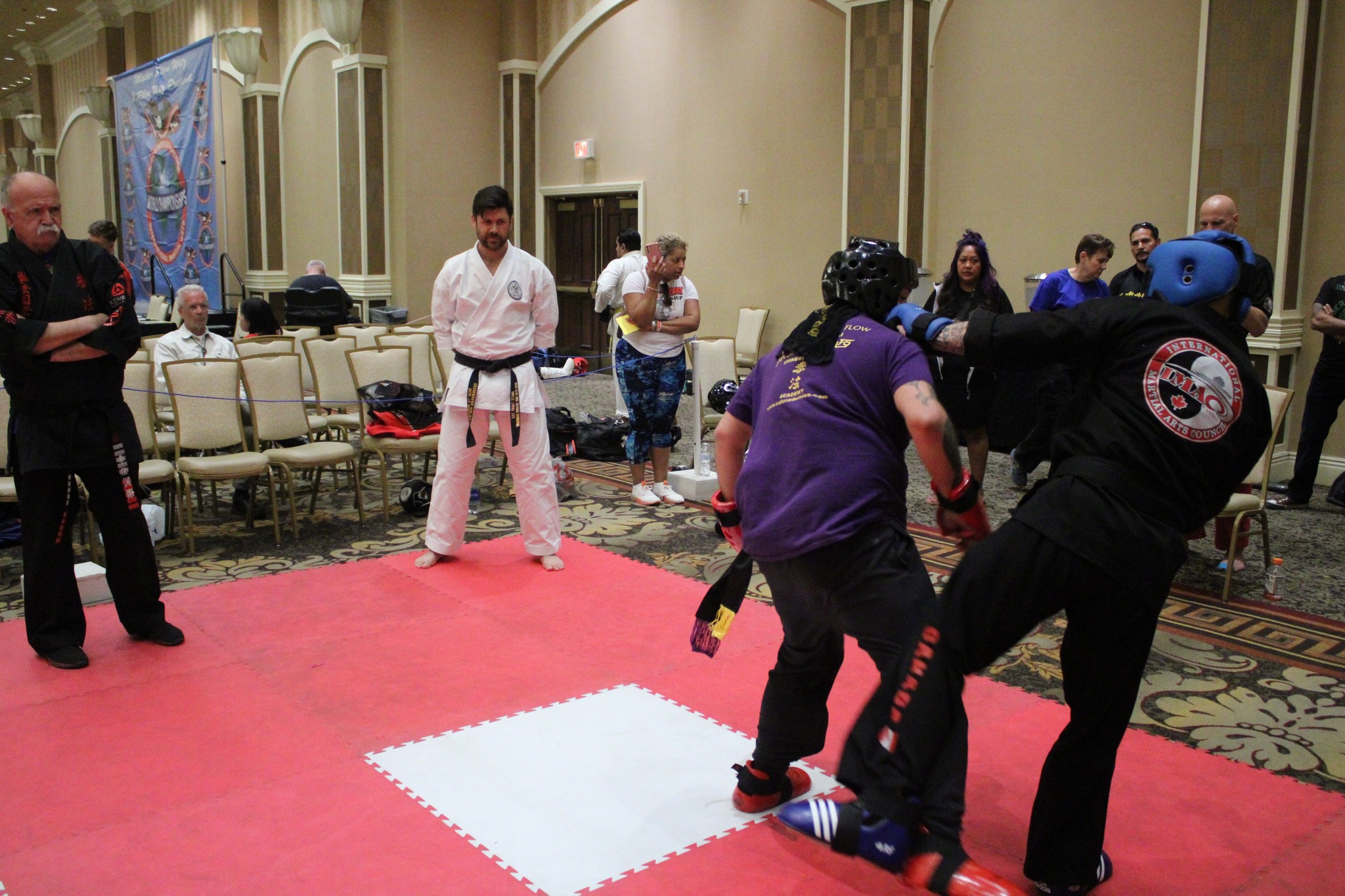 IMAC is... - International Martial Arts Council (IMAC) | Facebook