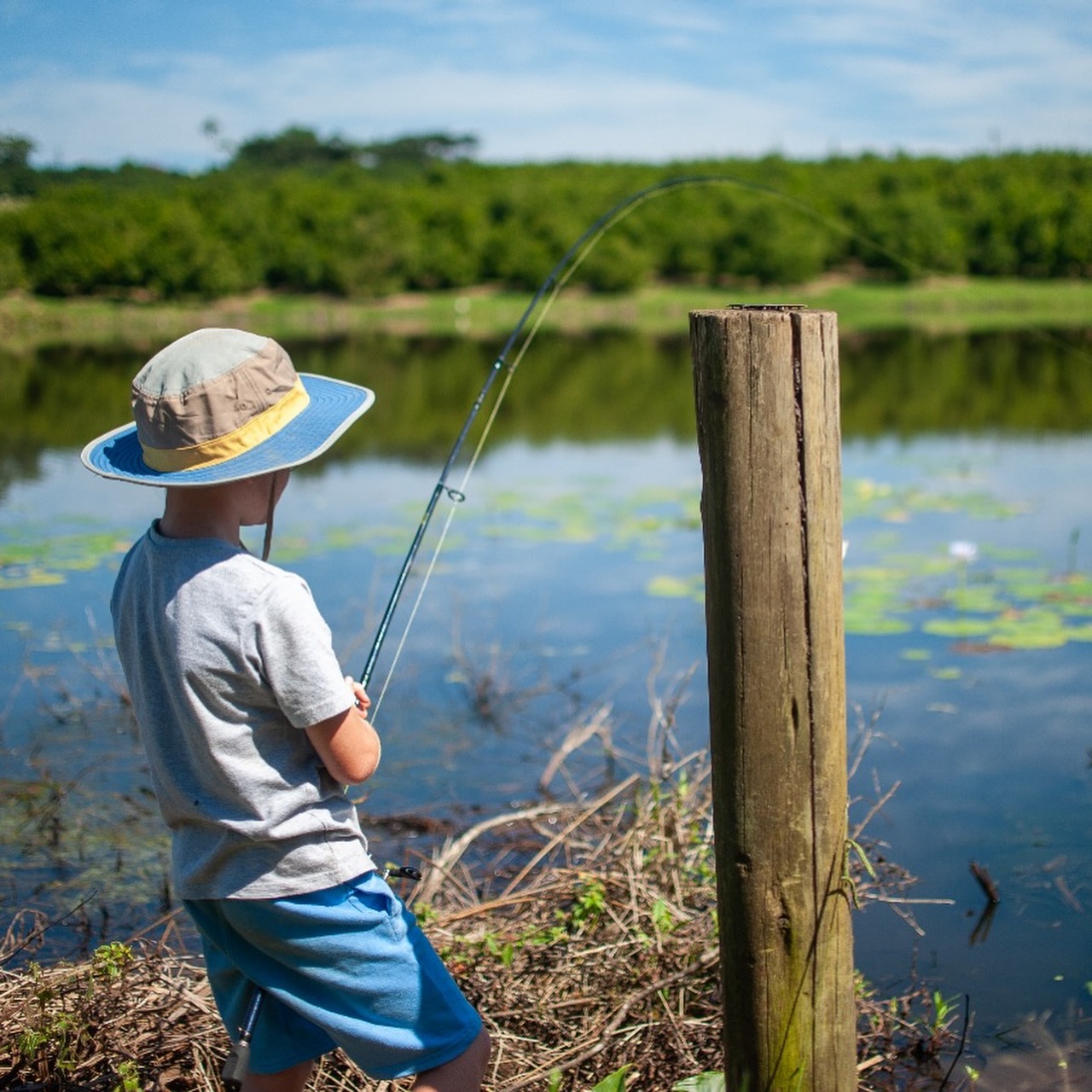Paddock Fishing Compo
