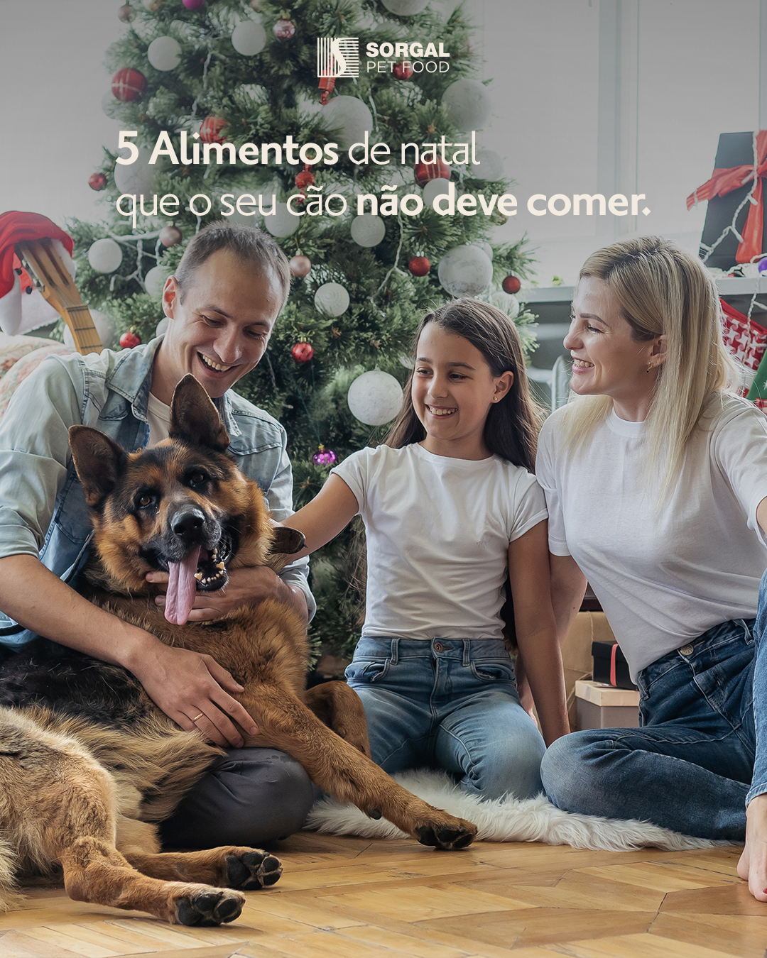 Sorgal Pet Food - Cuide do seu pet com um alimento completo e ...