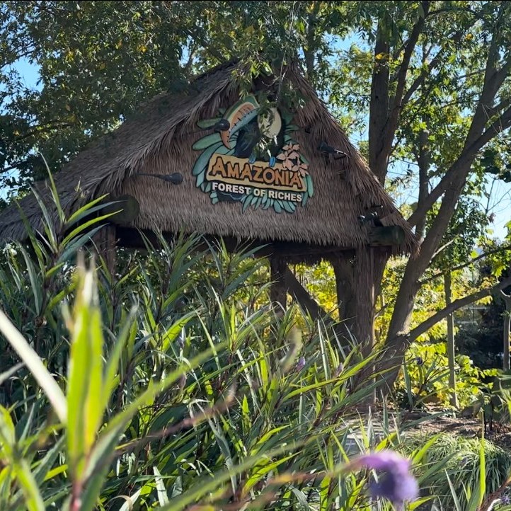 Happy World Rainforest... - Mesker Park Zoo & Botanic Garden | Facebook