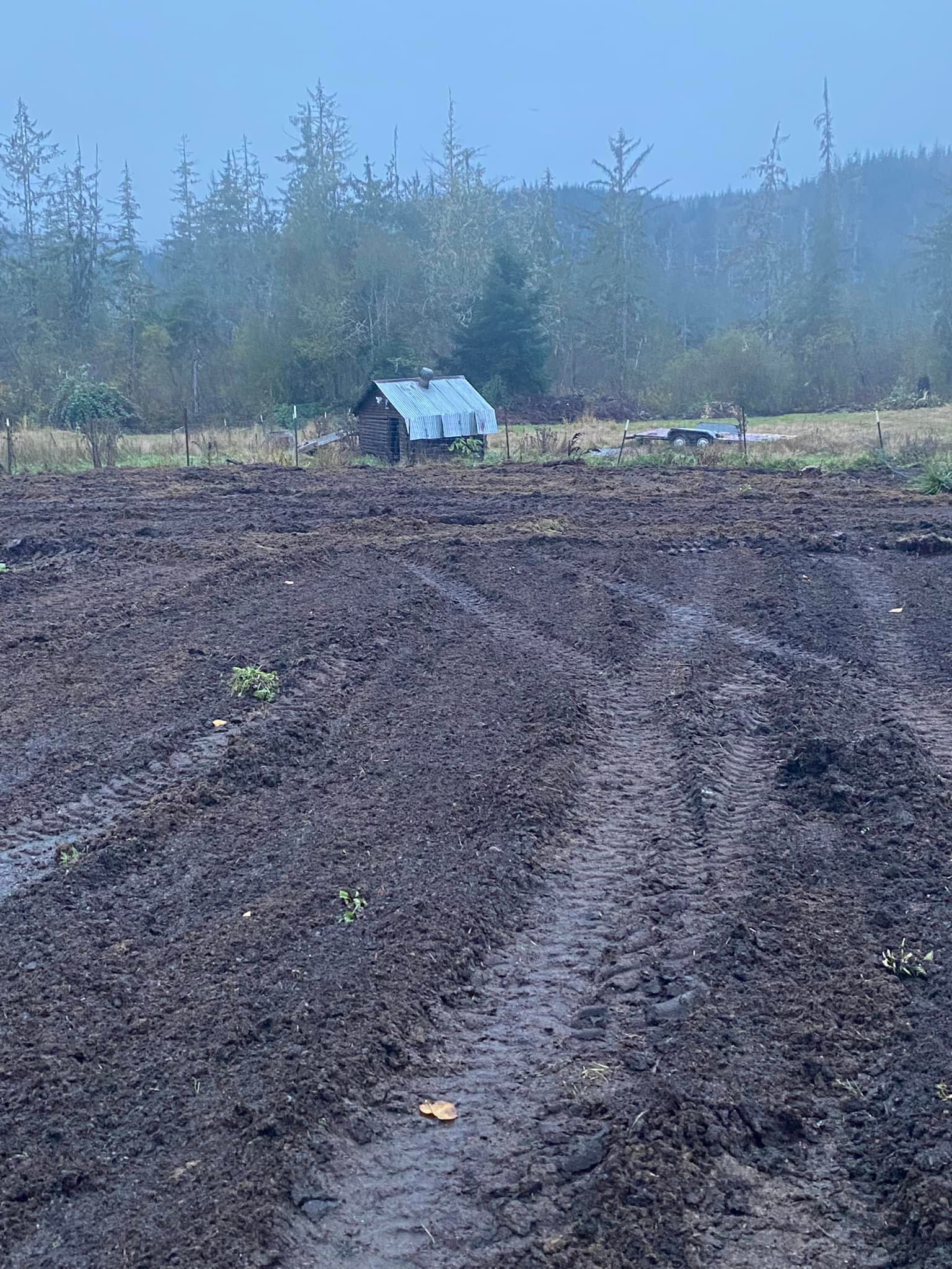 Rusty Acres Garden Shed | Hoquiam WA