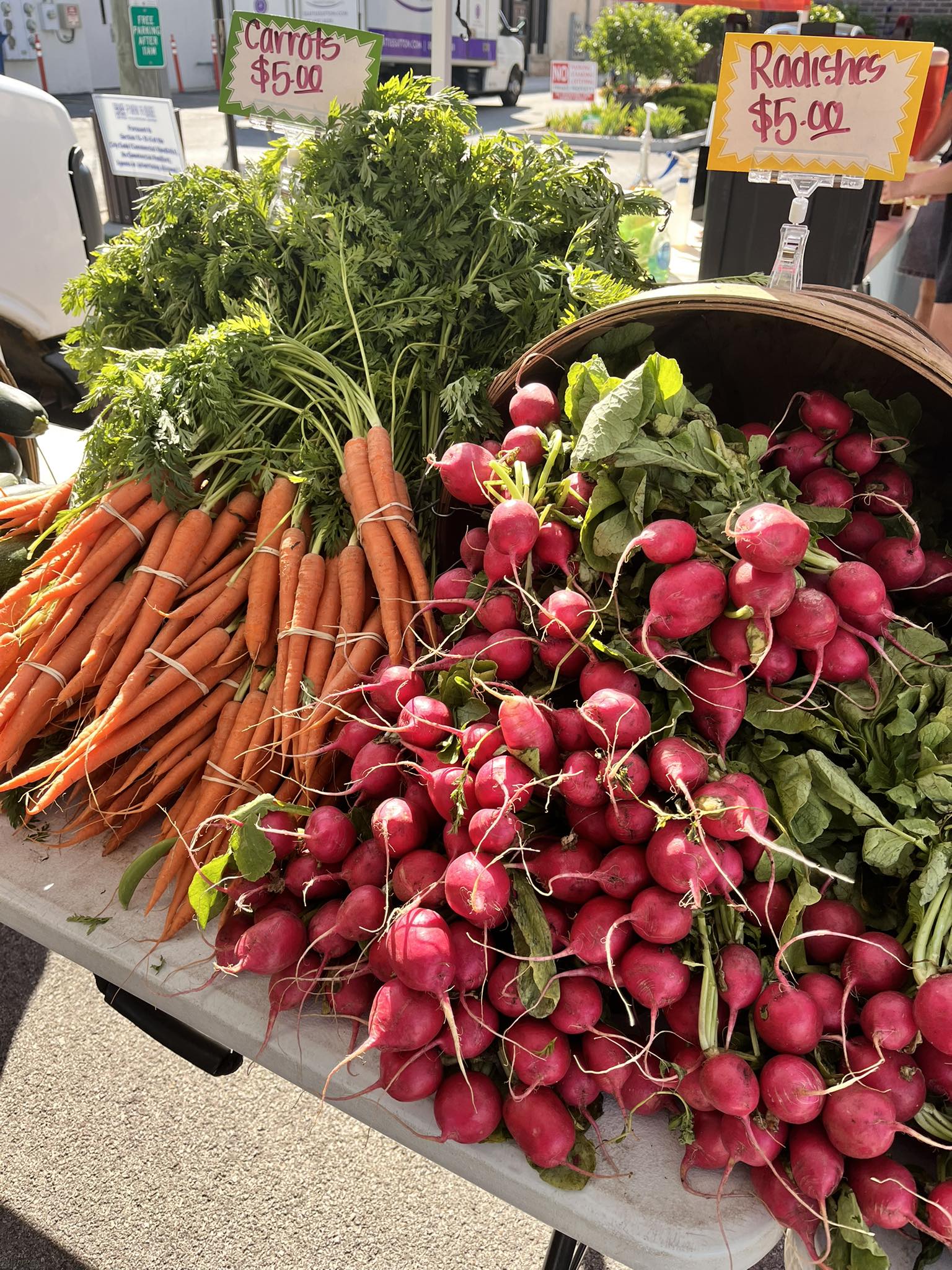 Park Ridge Farmers Market | Park Ridge IL