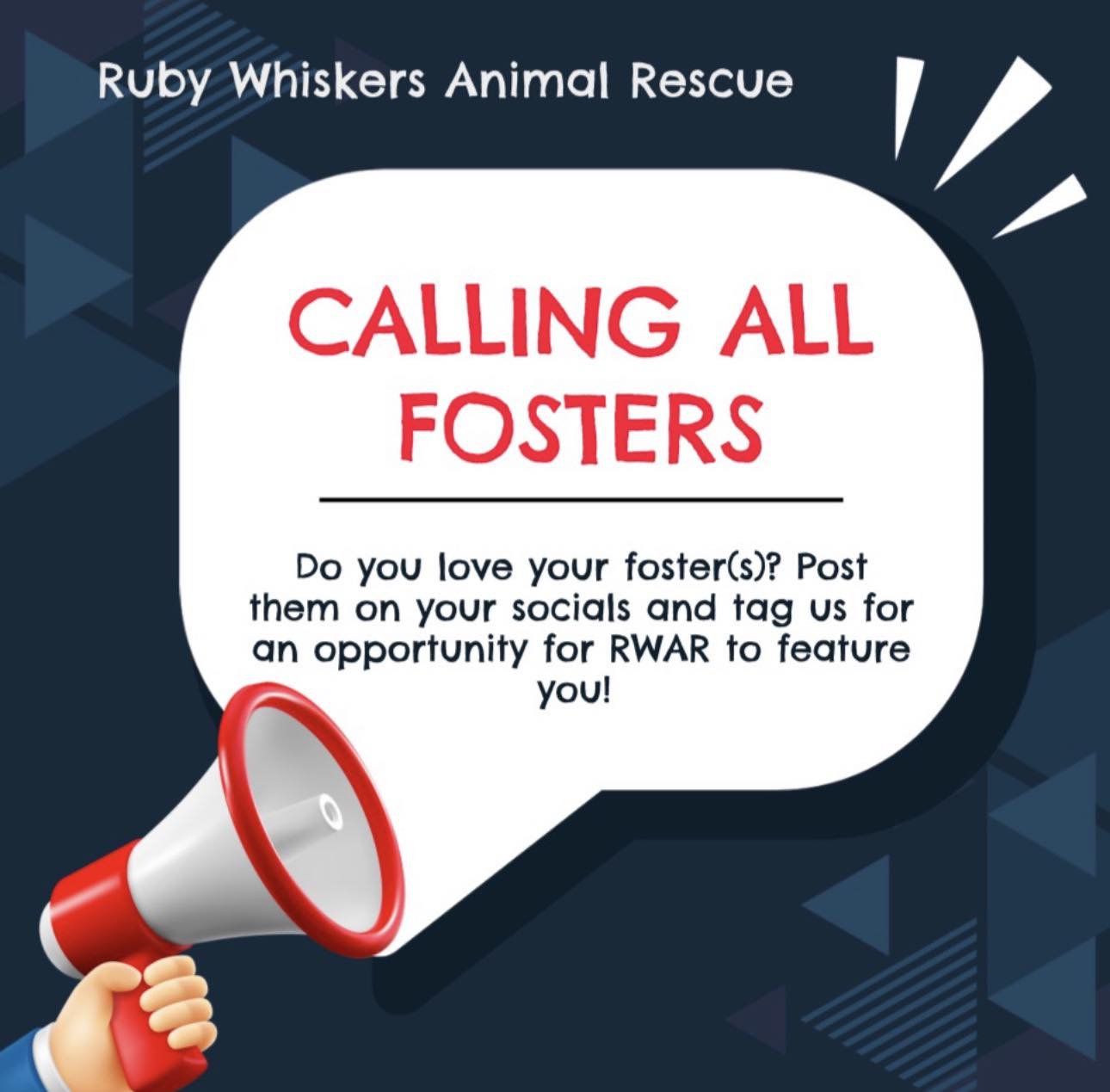 🐾 Calling all fosters or... - Ruby Whiskers Animal Rescue | Facebook