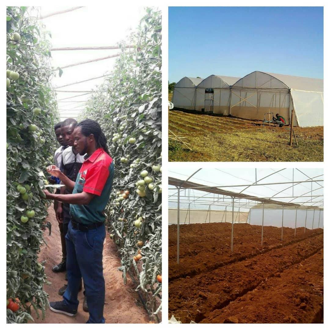 Greenhouses Zimbabwe 195 Photos 9 Reviews Agricultural