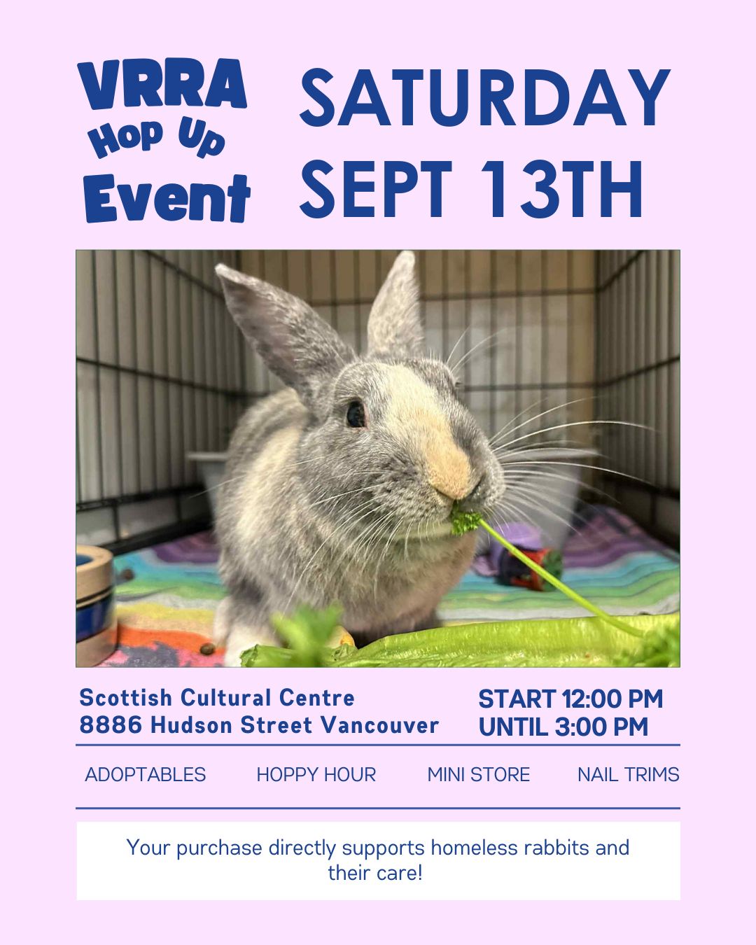 🐰 Hop-up Event 🐰... - Vancouver Rabbit Rescue and Advocacy | Facebook