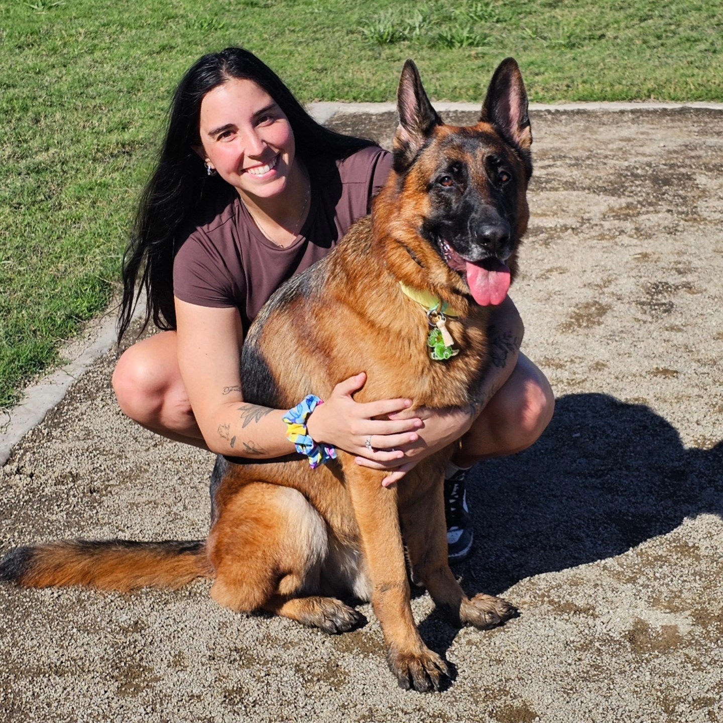 🐾 Love the dedication,... - Paws in Progress Dog Training | Facebook