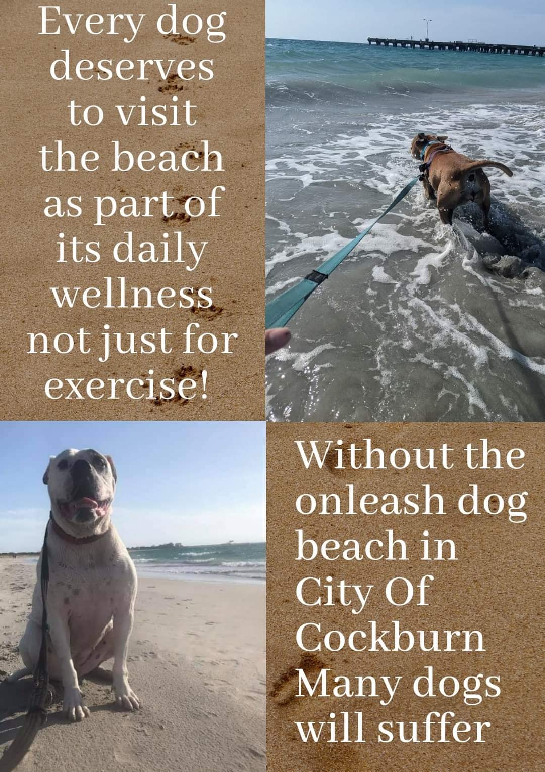 🆘 SAVE THE... - ROC Residents of Cockburn for the dogs Inc. | Facebook