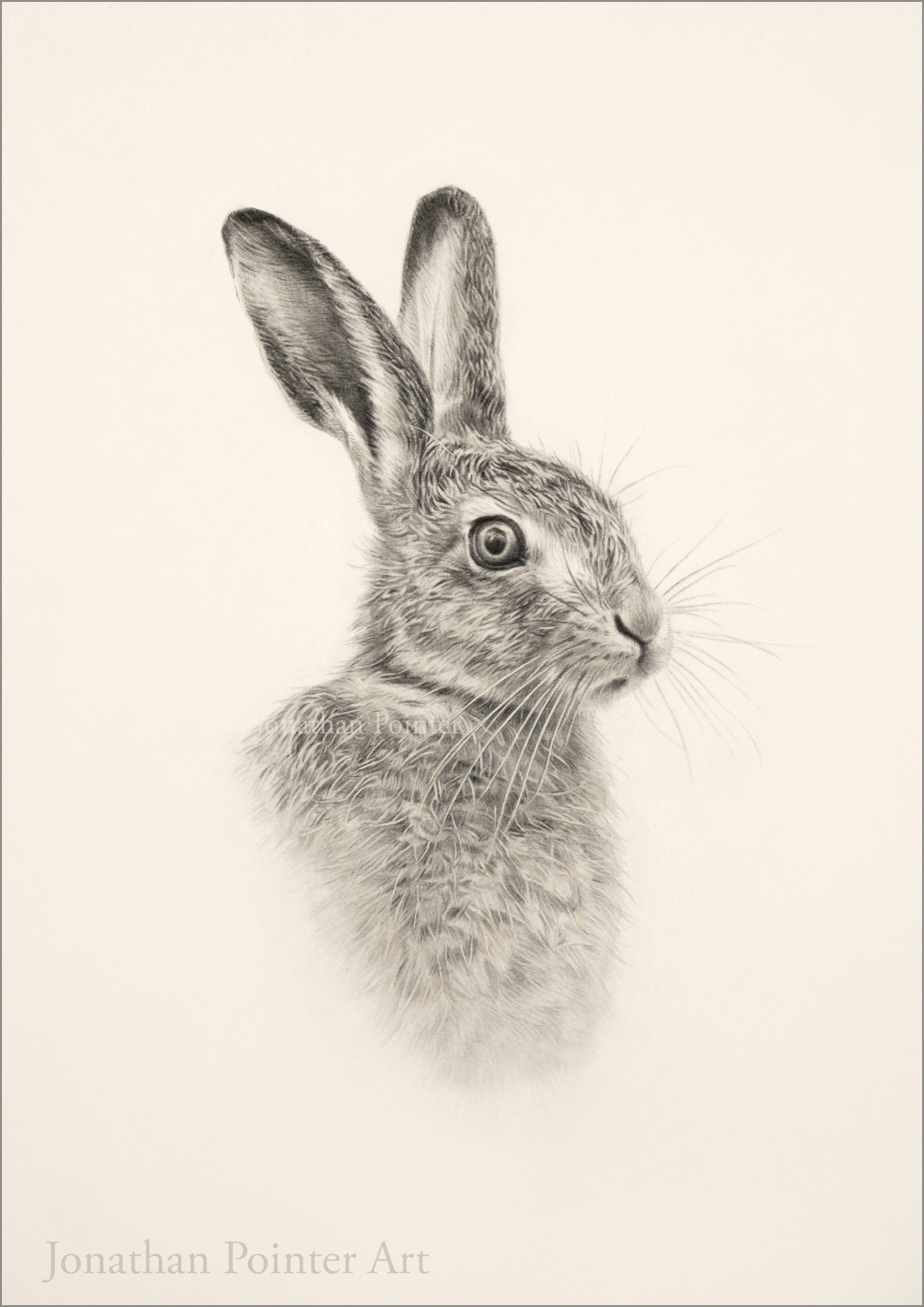 Jonathan Pointer Art