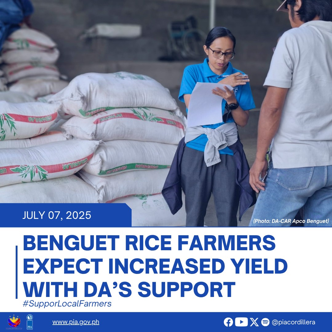 PIA - Rice farmers in Benguet are expecting an increase in their yield ...