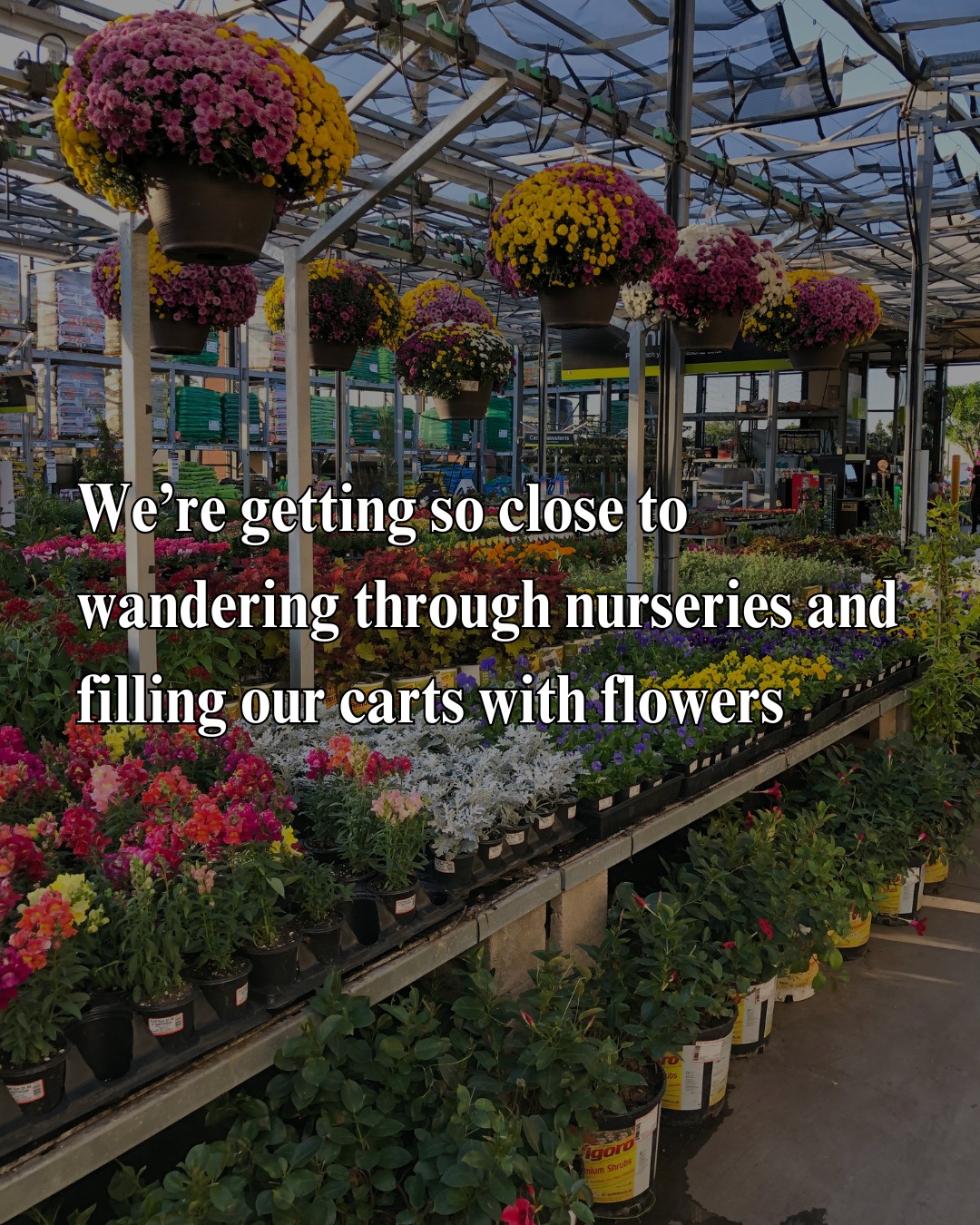 Frank Otte Nursery and Garden Center | Louisville KY