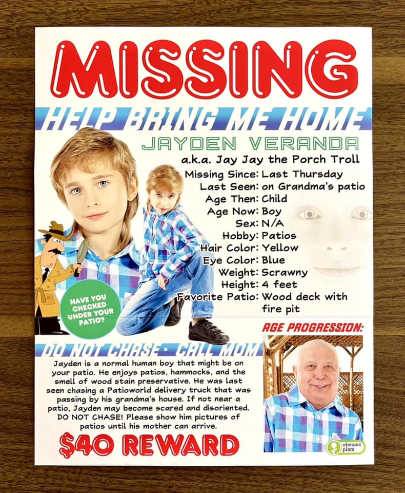 Fun Trifold Poster of My Missing Son