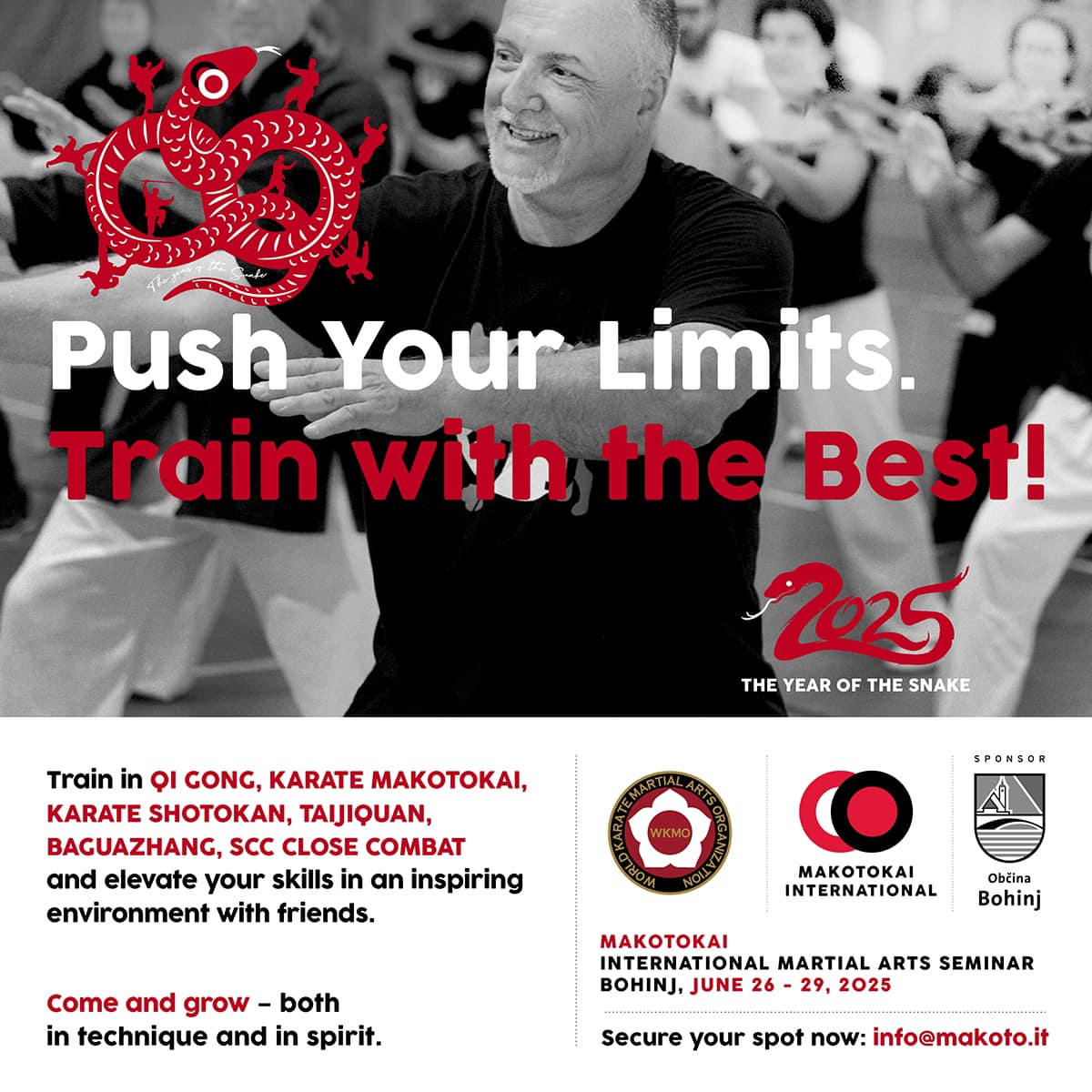 World Karate Martial Arts Organization | Lugano