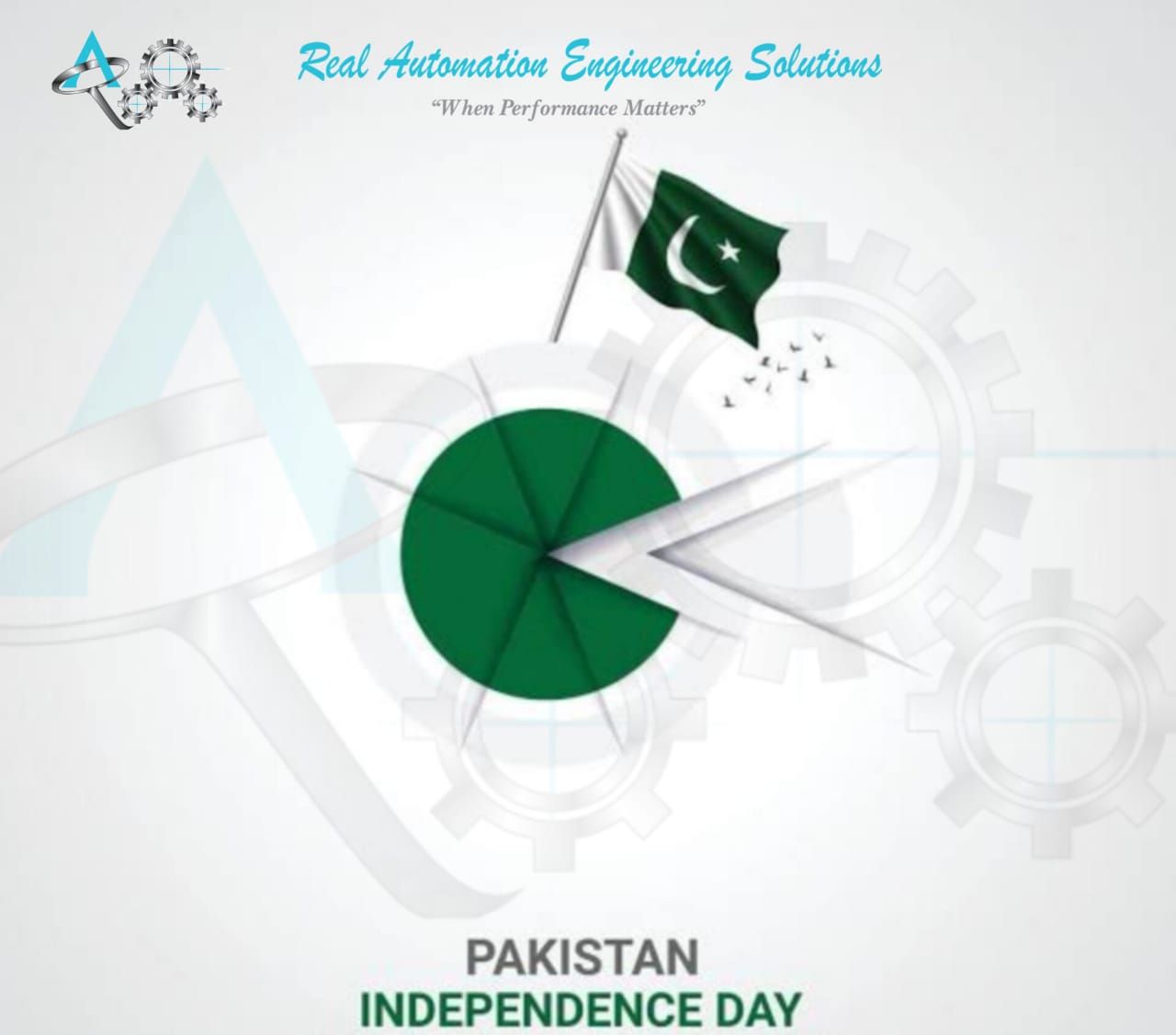 Real Automation Engineering Solutions | Karachi