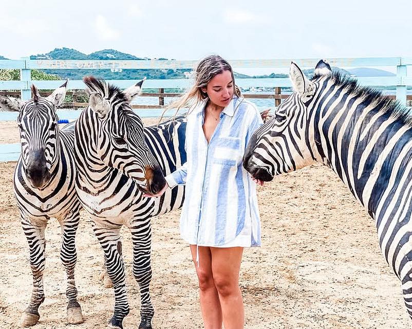 British - Redemption Ranch, at the Aerial BVI, provides a unique Zebra ...