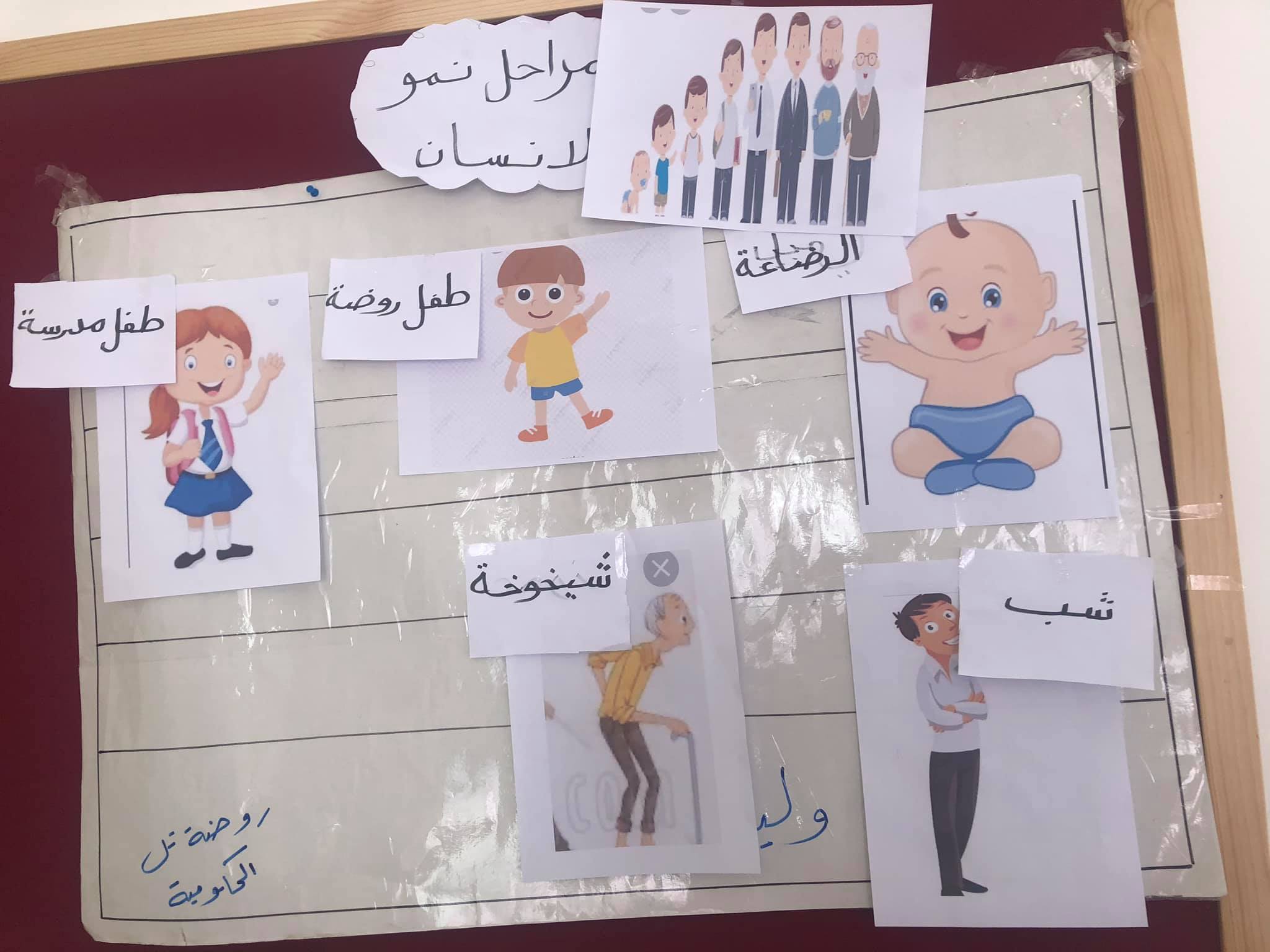 مراحل عمر الانسان... - روضة غياث ونادية سختيان- تل | Facebook