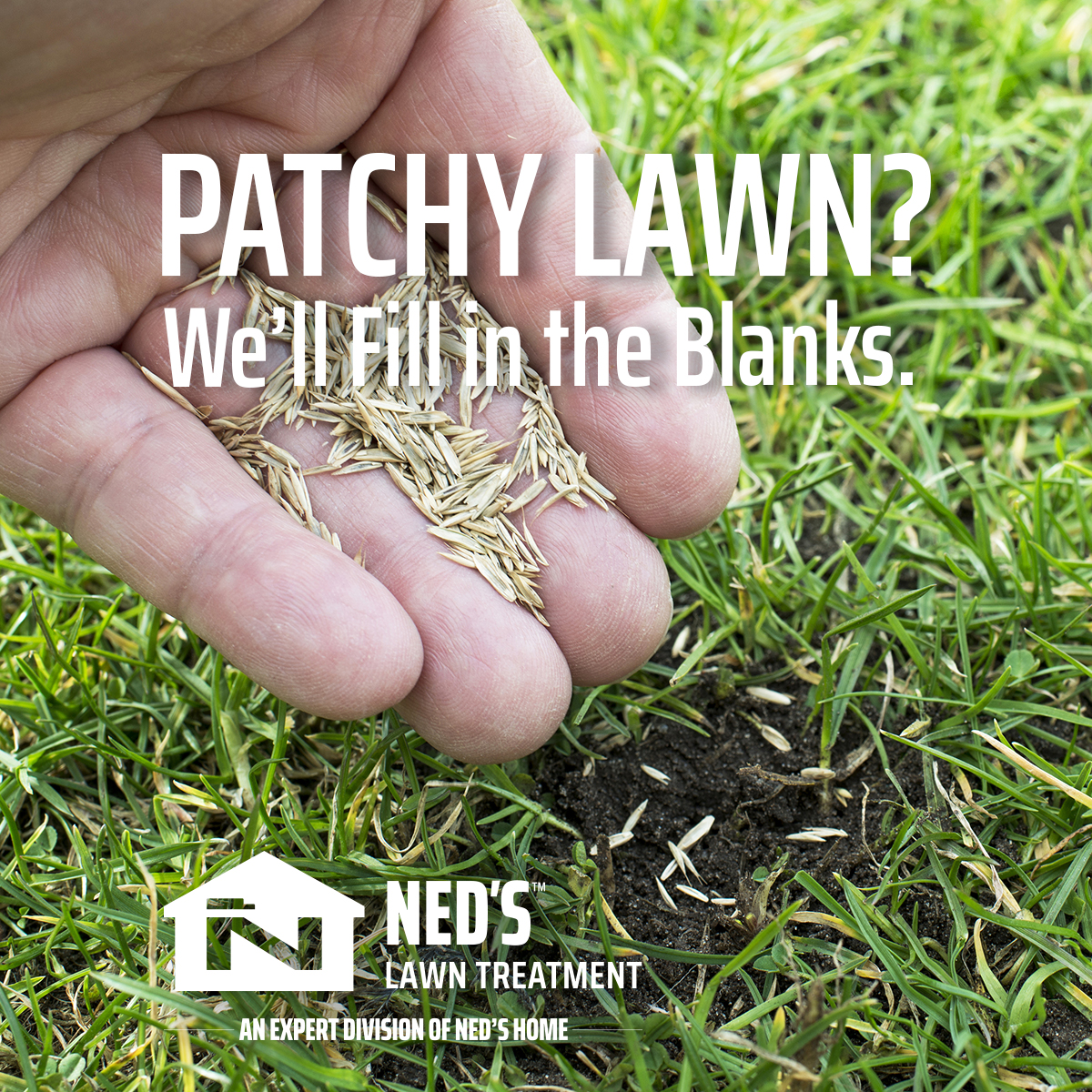 Ned's - 🌱 Patchy Grass? We’ve Got You Covered! 🌱 Bald spots, dry ...