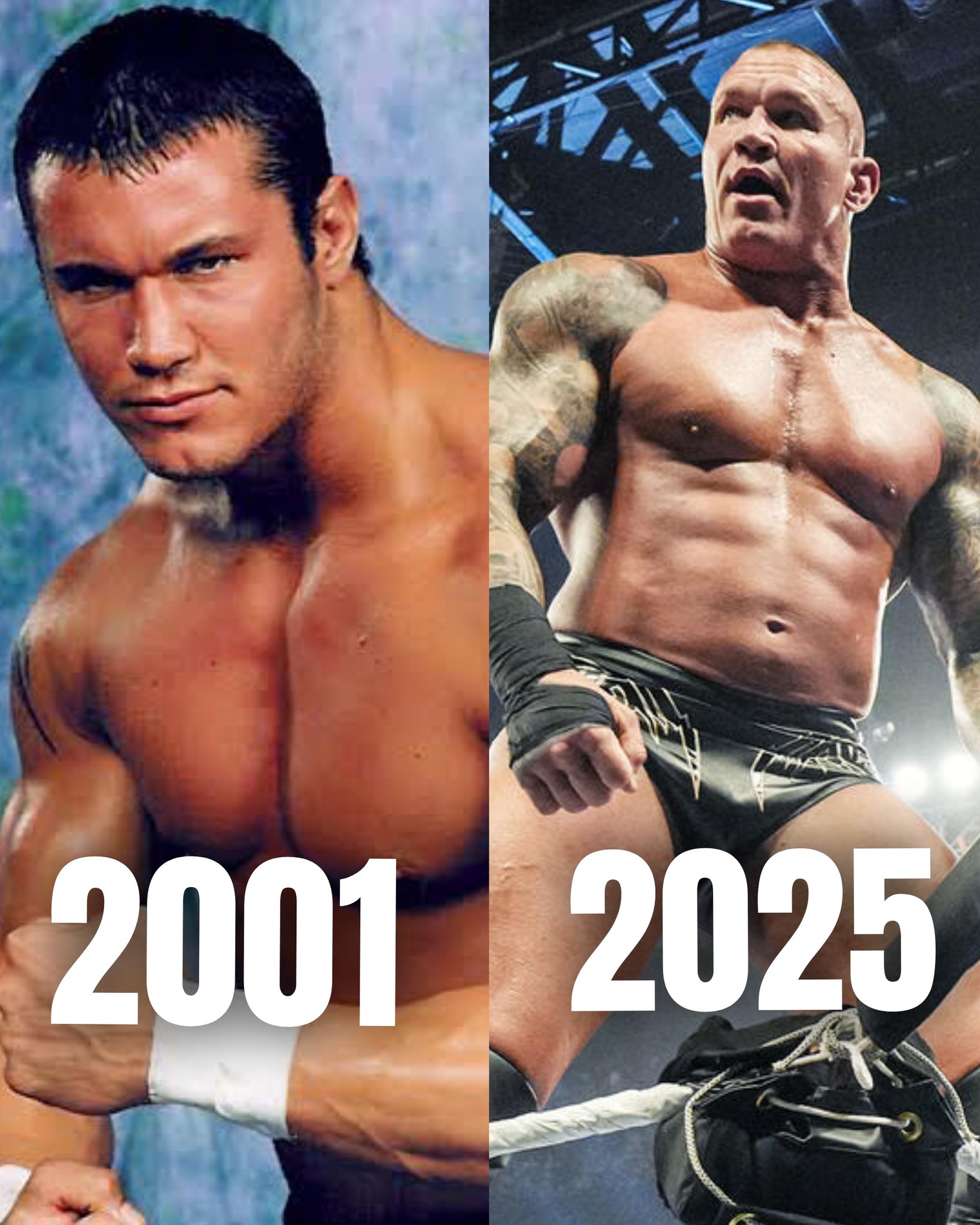 Soy - RANDY ORTON: 