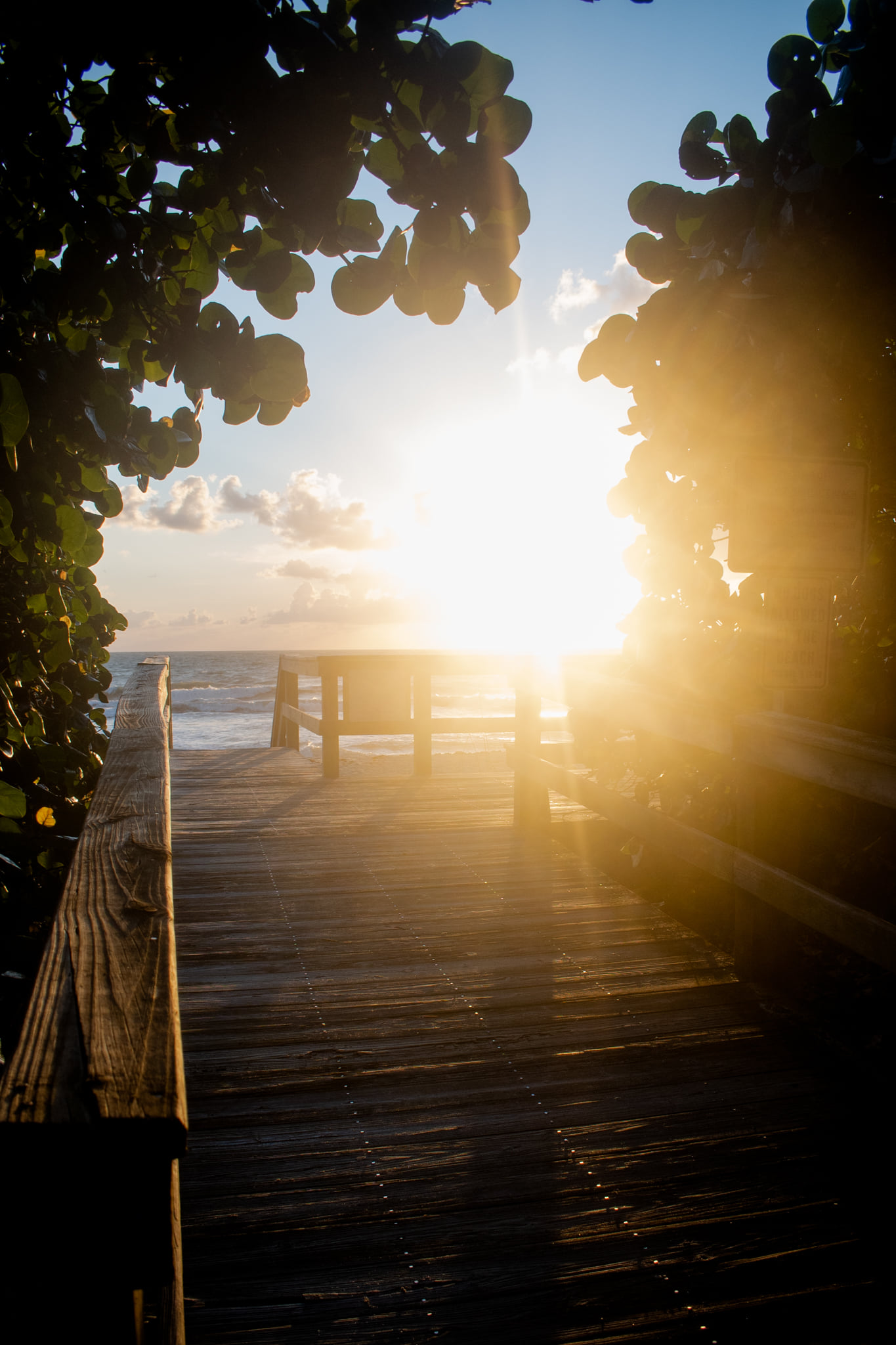 Emily Pemberton Photography... Emily Pemberton Photography
