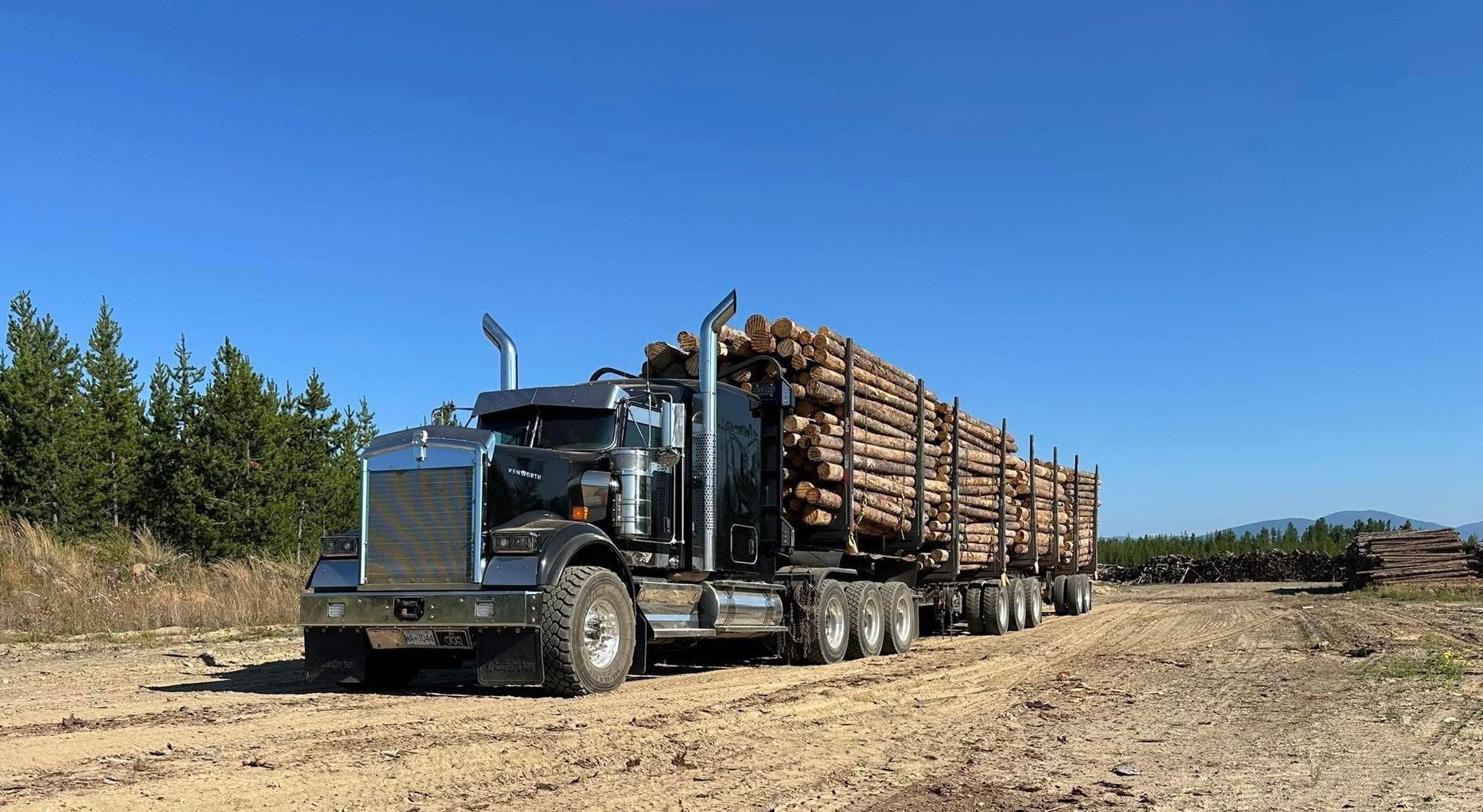 JF Logging - JF Logging added a new photo.