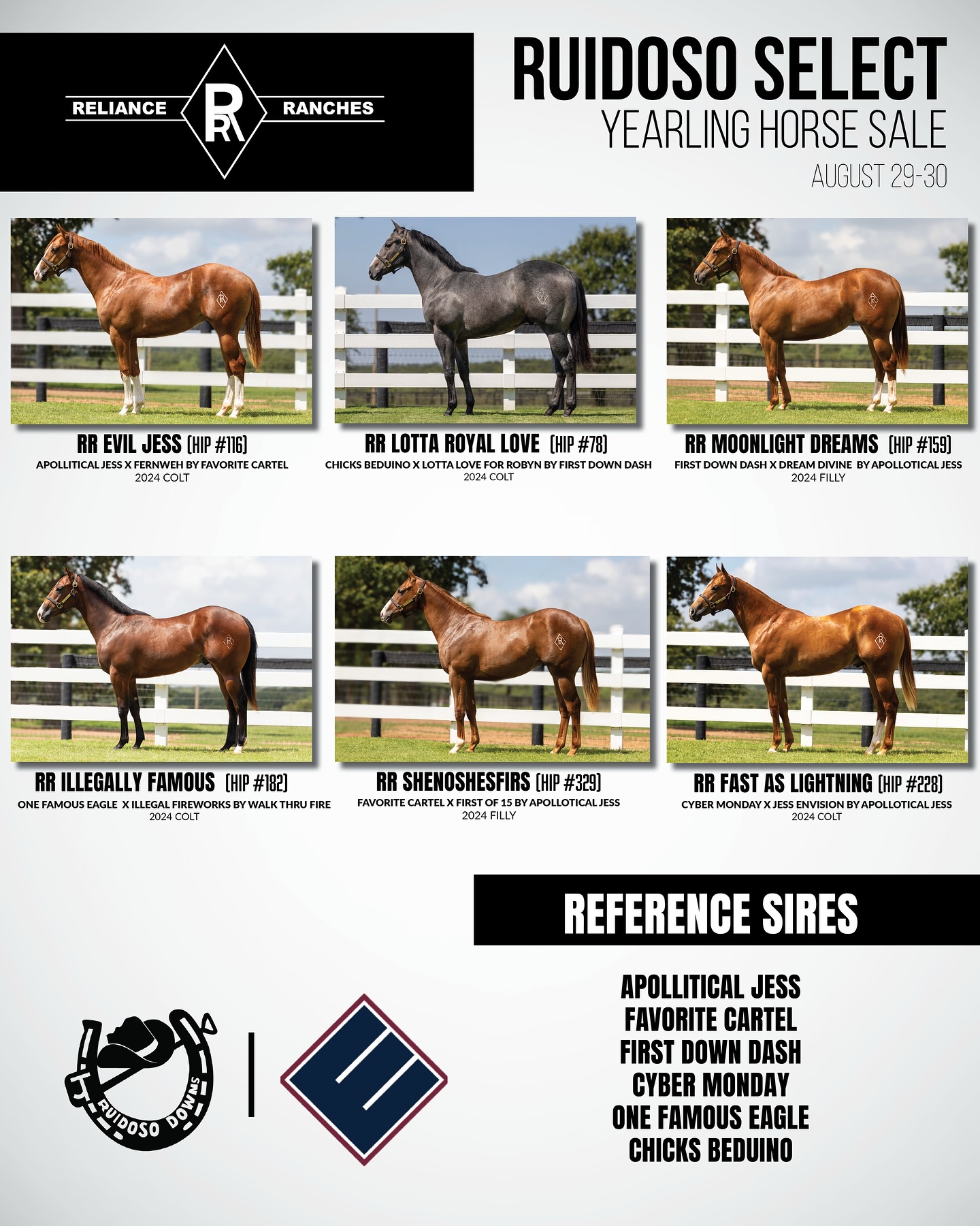 Reliance - Reliance Ranches is proud to offer these select yearlings at ...