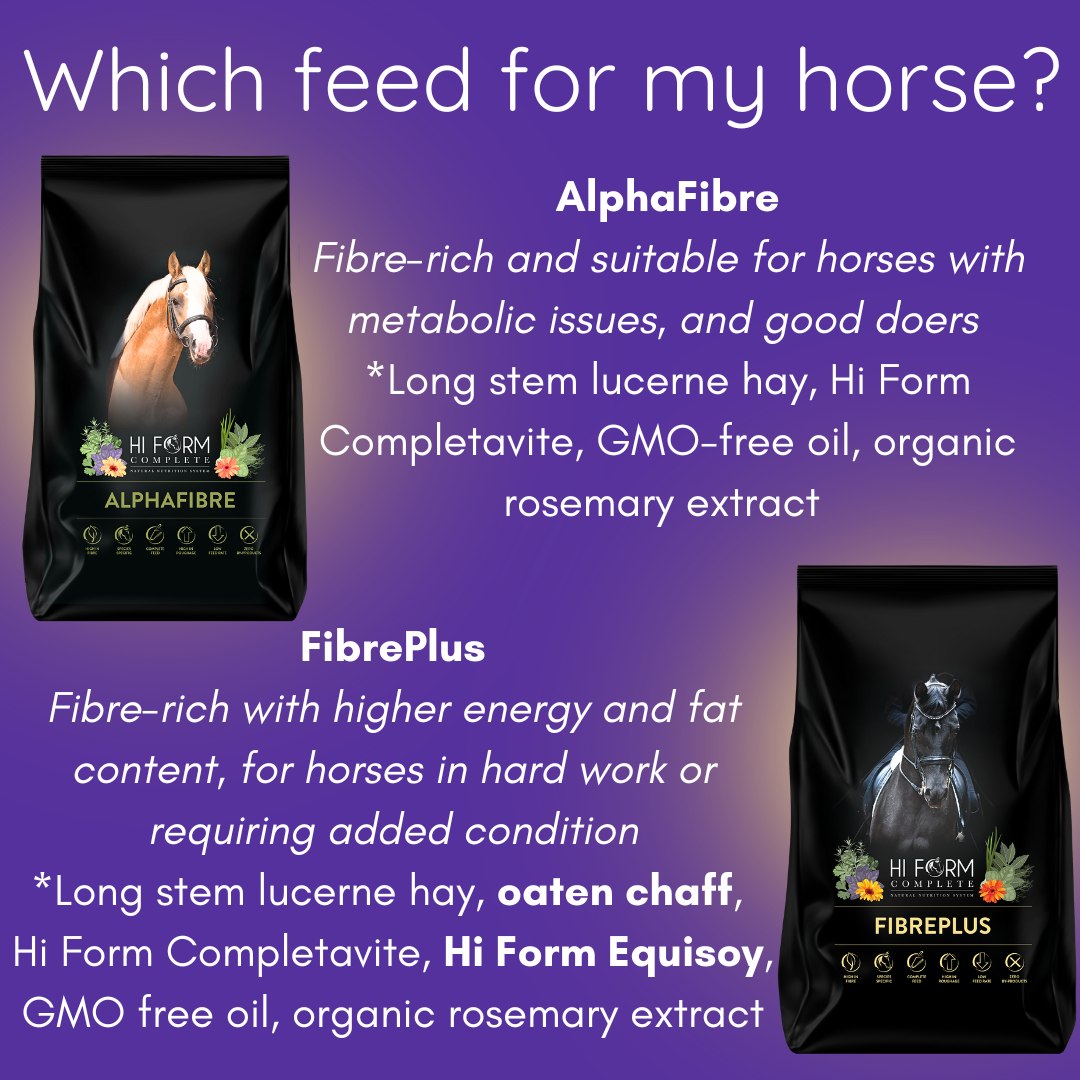Hi - What makes our Hi Form COMPLETE feeds so special? HI FORM ...