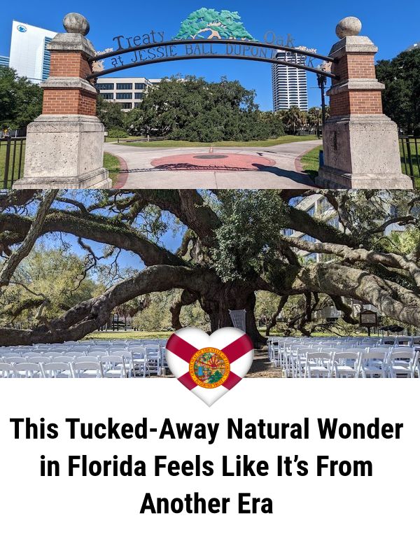 I Love - This Tucked-Away Natural Wonder in Florida Feels Like It’s ...