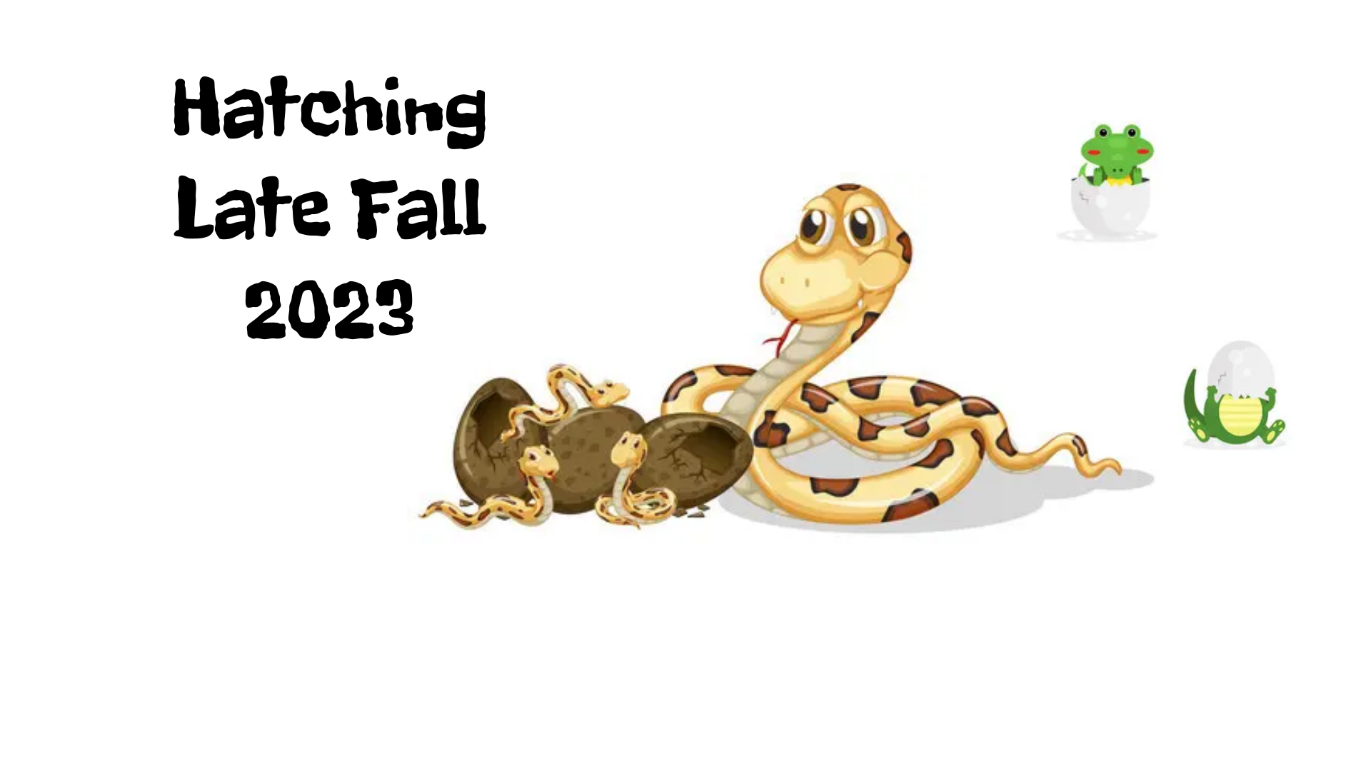 Michigan city Reptiles and More expos - Under 10 Free over is 5 ...