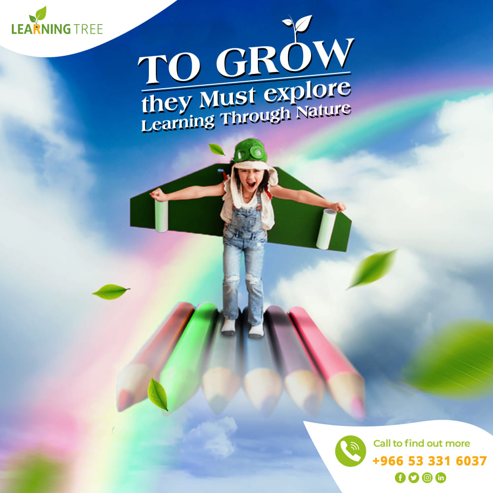 Learning Tree Provides an... - Learning Tree School | Facebook
