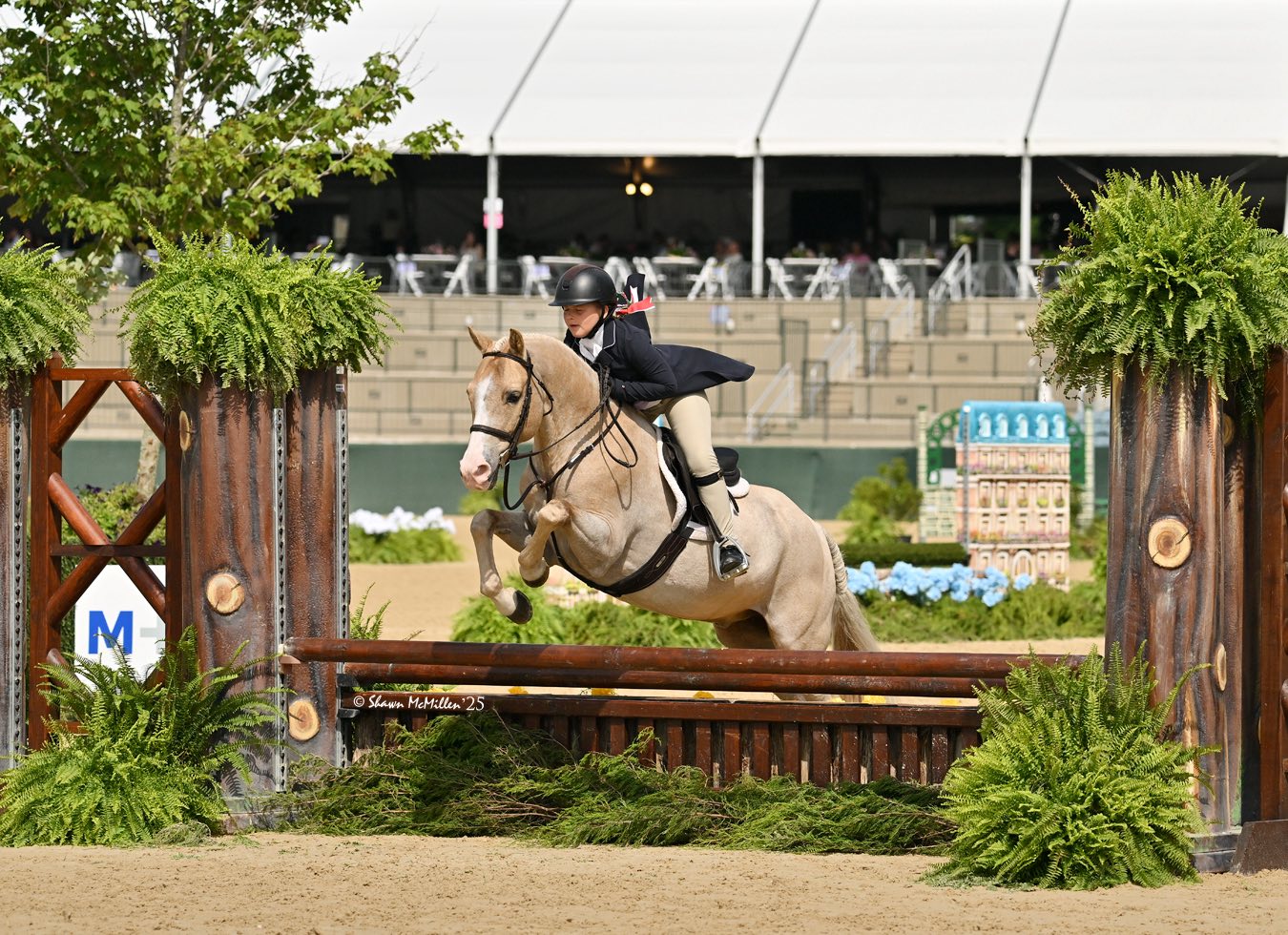 Sunnybrook Elite Riding... - Sunnybrook Elite Riding Club